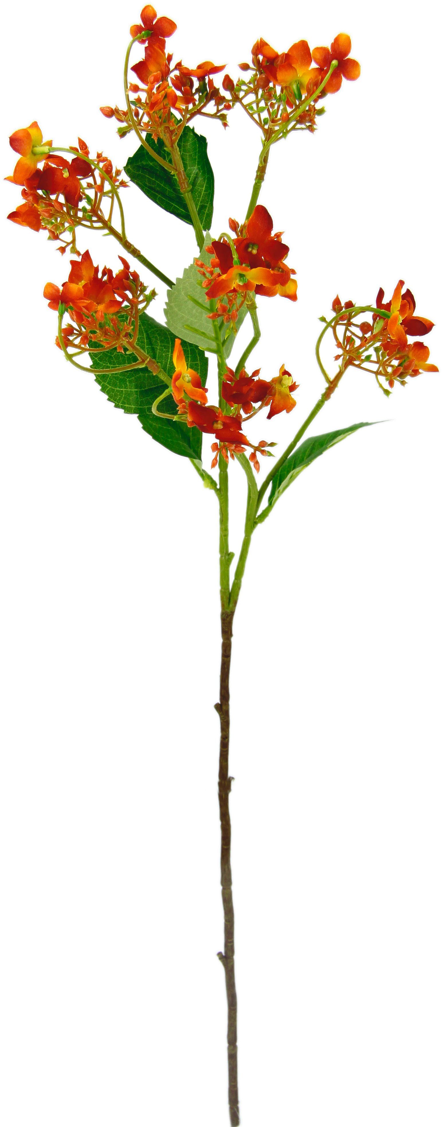 I.GE.A. Kunstbloem Bloementak set van 5 kunsttak, kunstplant, deco-tak (5 stuks)