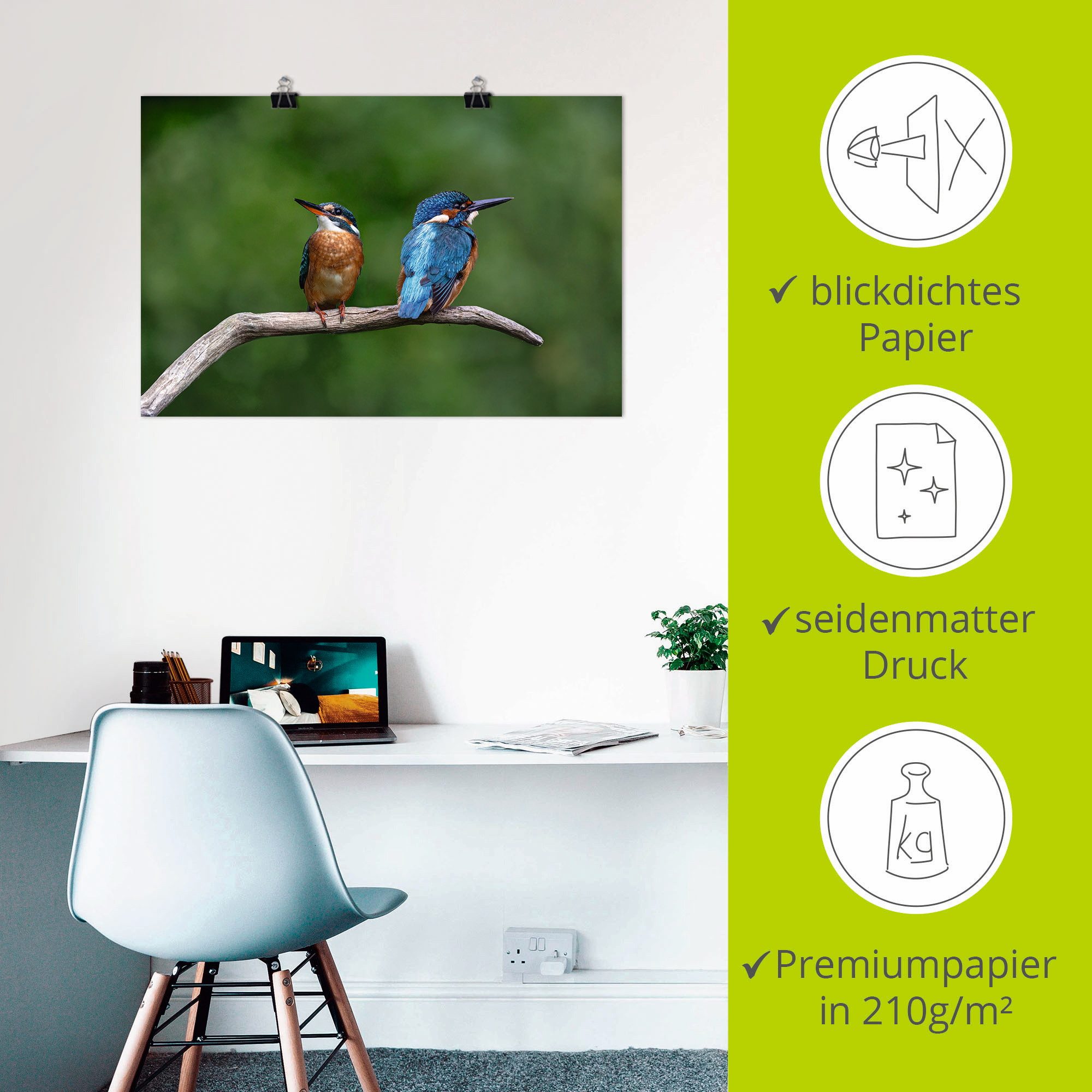 Artland Artprint Twee ijsvogels als artprint van aluminium, artprint voor buiten, poster in diverse formaten