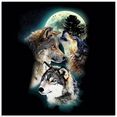 artland print op glas fantasie wolf wolven met maan (1 stuk) zwart