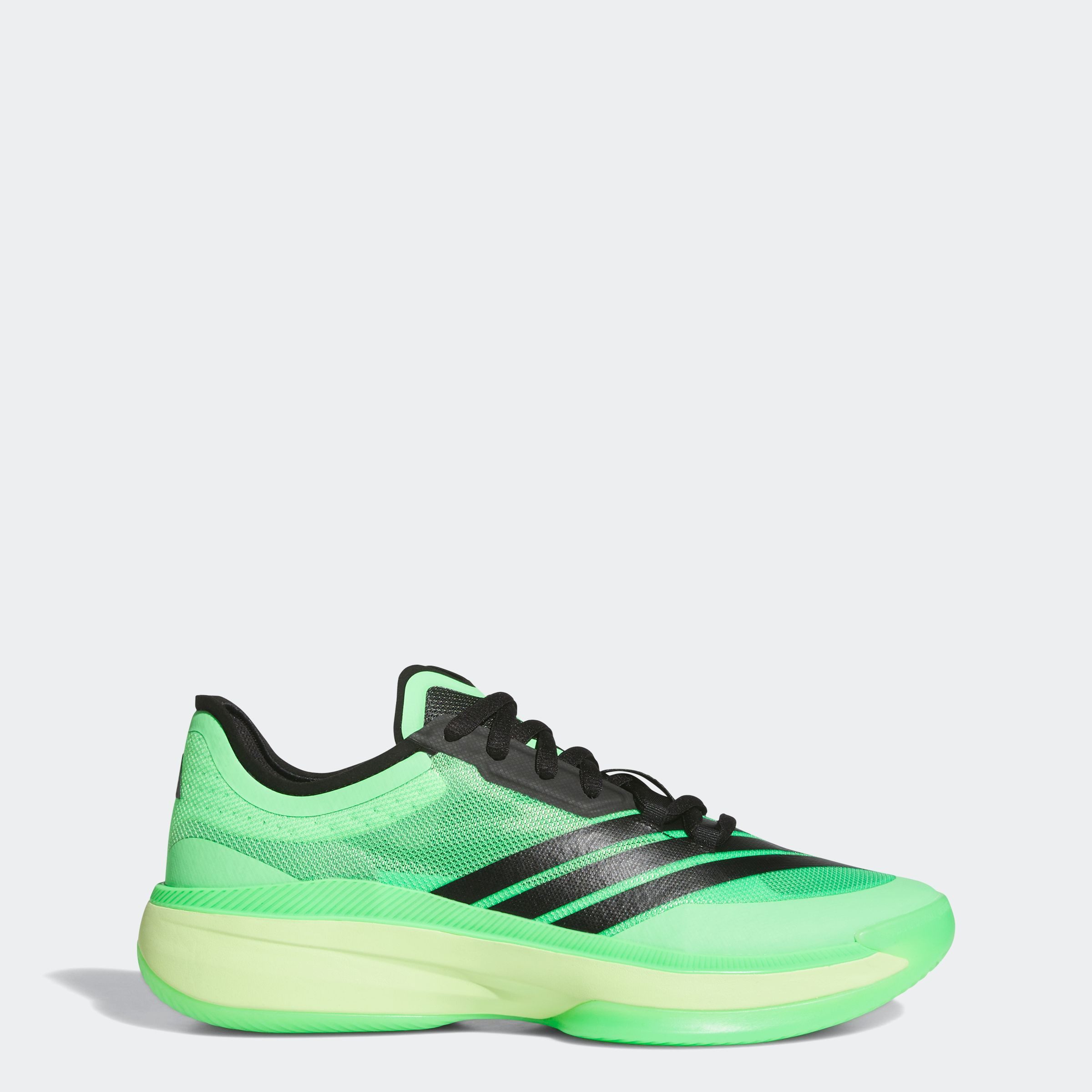 adidas Performance Basketbalschoenen ADIZERO SELECT 3.0