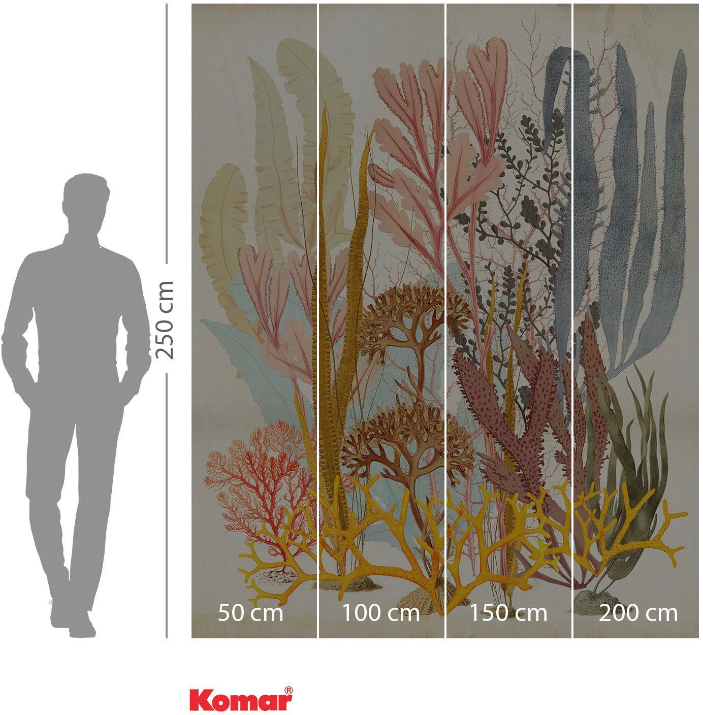 Komar Vliesbehang Digitale print vlies - Catchy Corals - Afmeting 200 x 250 cm (1 stuk)
