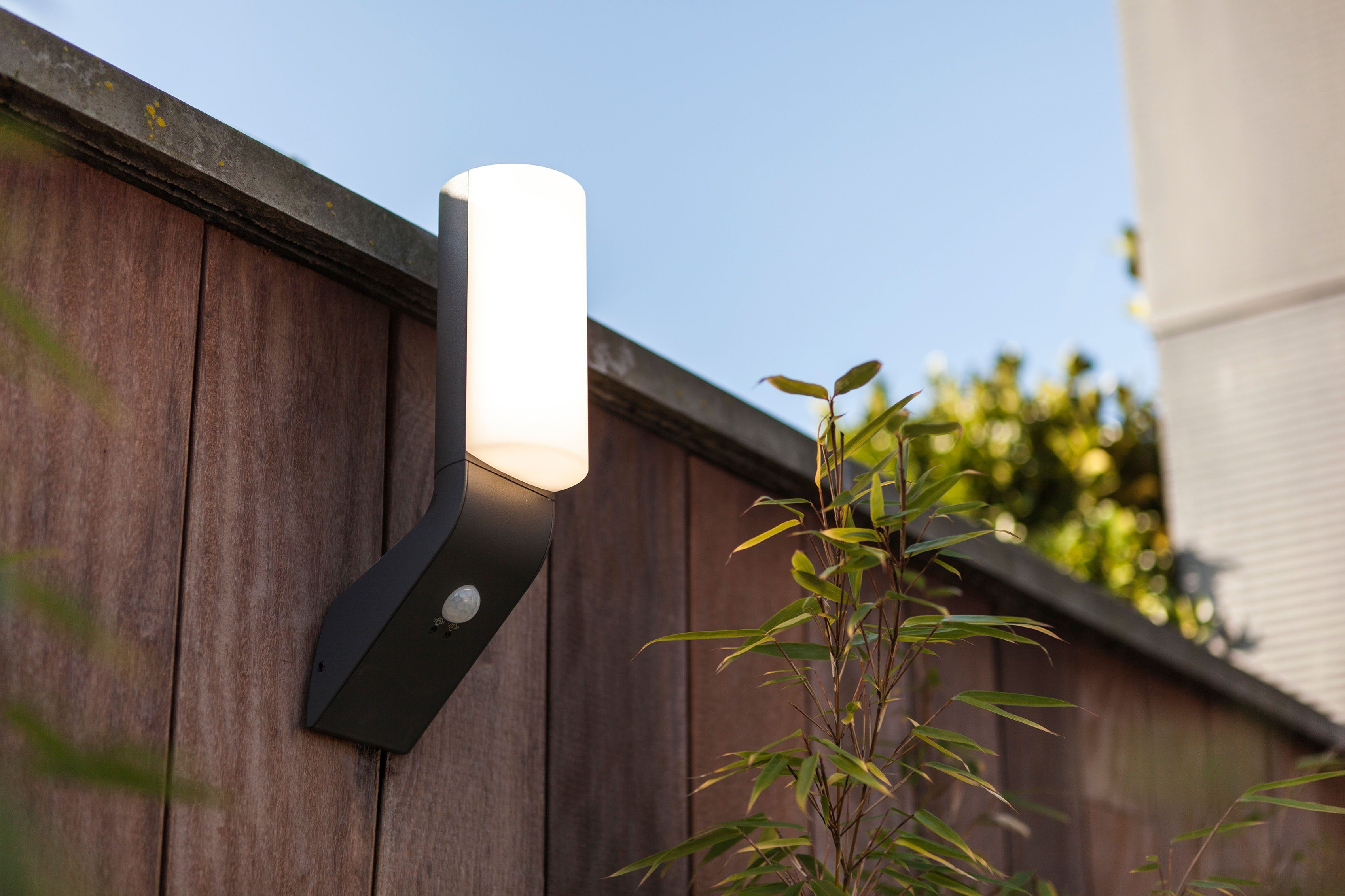 LUTEC Ledwandlamp voor buiten BATI Bewegingsmelder (1 stuk)