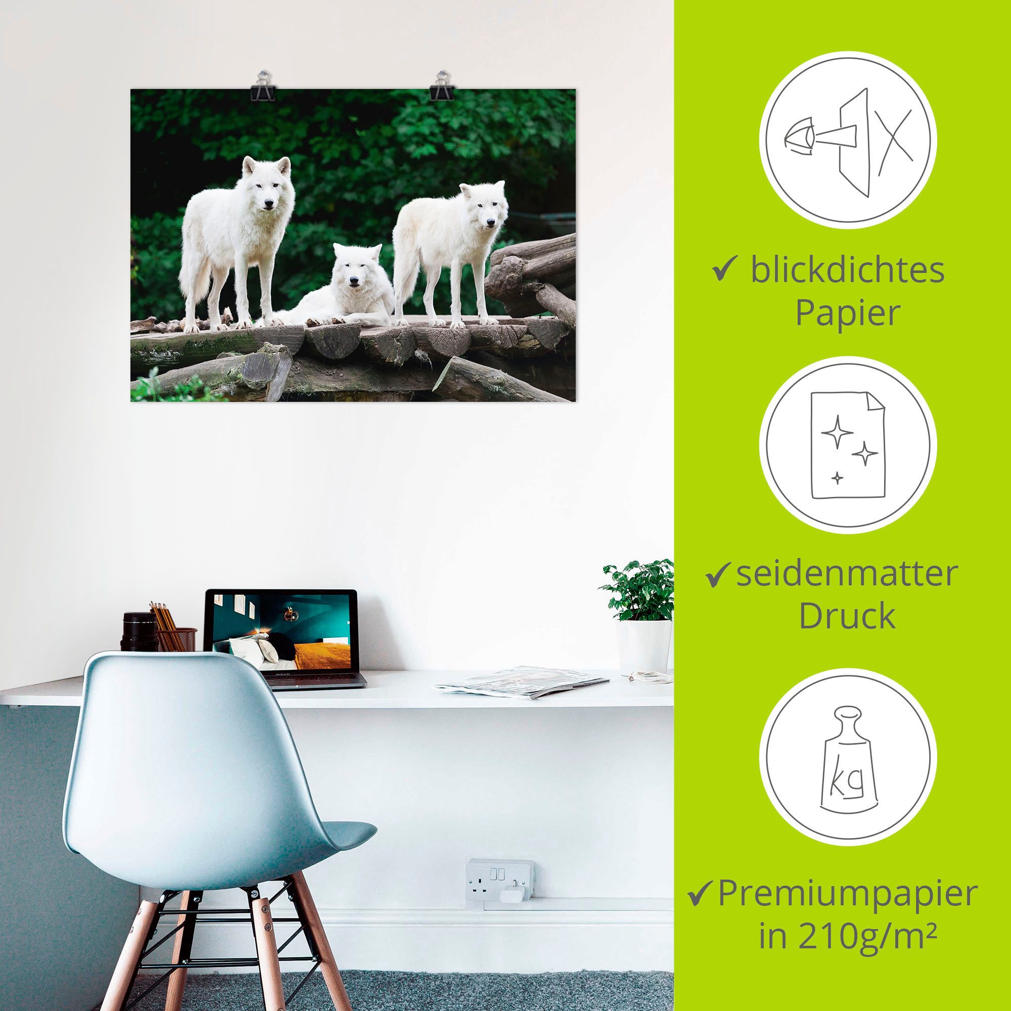 Artland Artprint Arctische wolven als artprint op linnen, poster in verschillende formaten maten