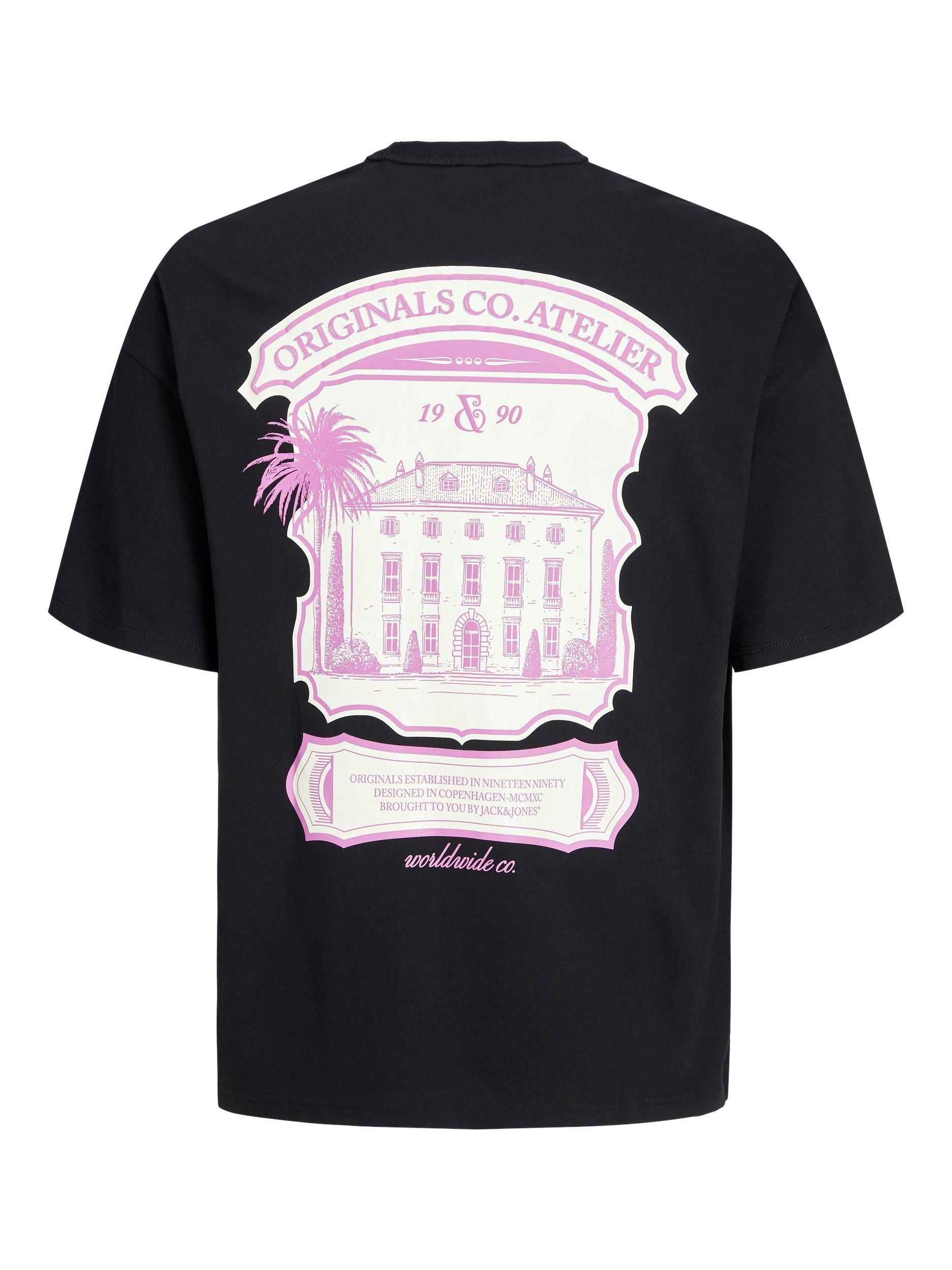 Jack & Jones Shirt met korte mouwen JORSANTORINI GRAPHIC TEE SS CREW NECK SN