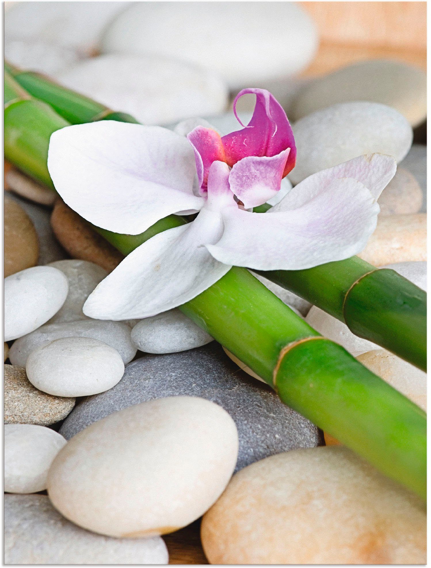 Artland artprint Zen Orchidee