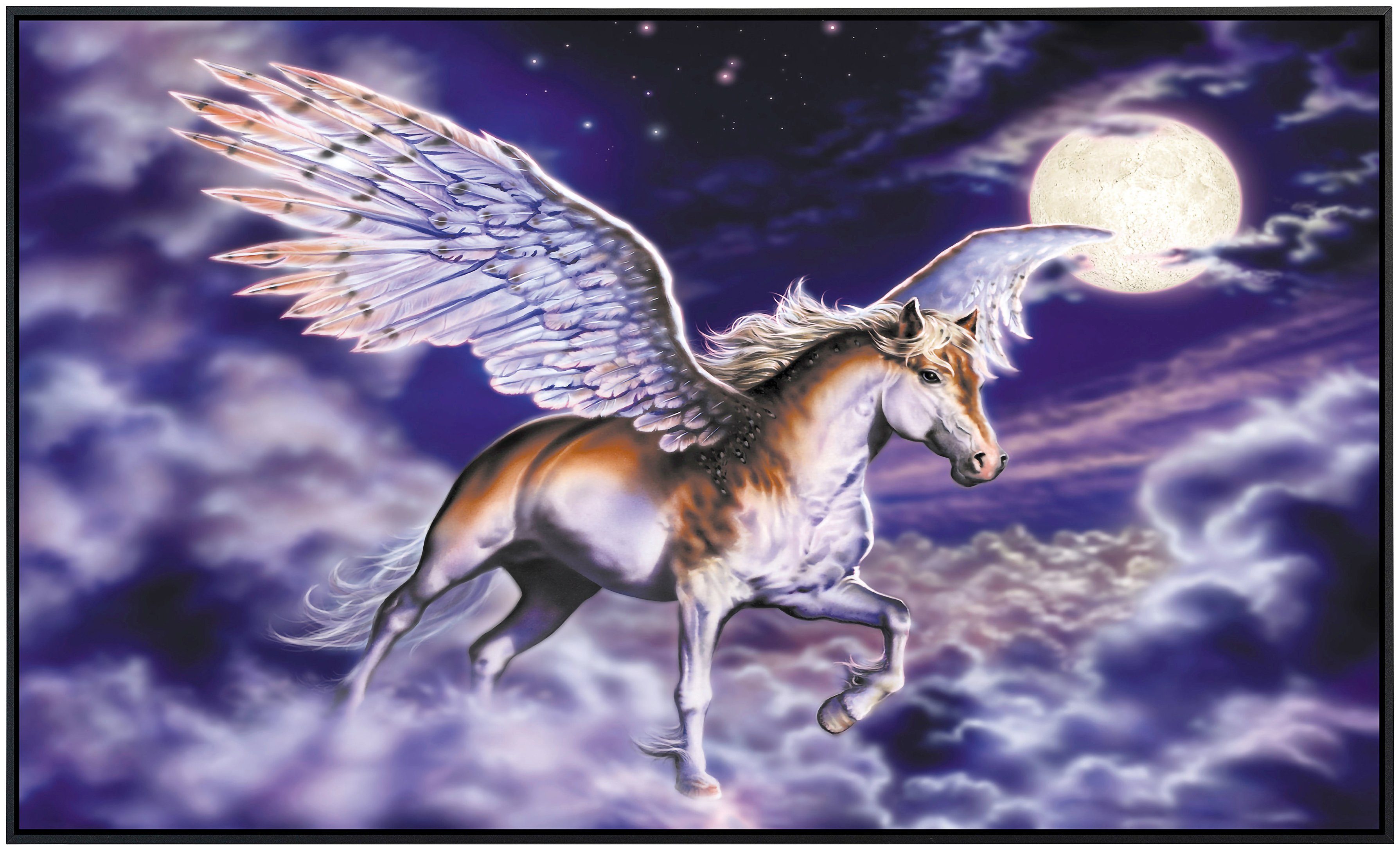 Papermoon Infraroodverwarming Pegasus zeer aangename stralingswarmte