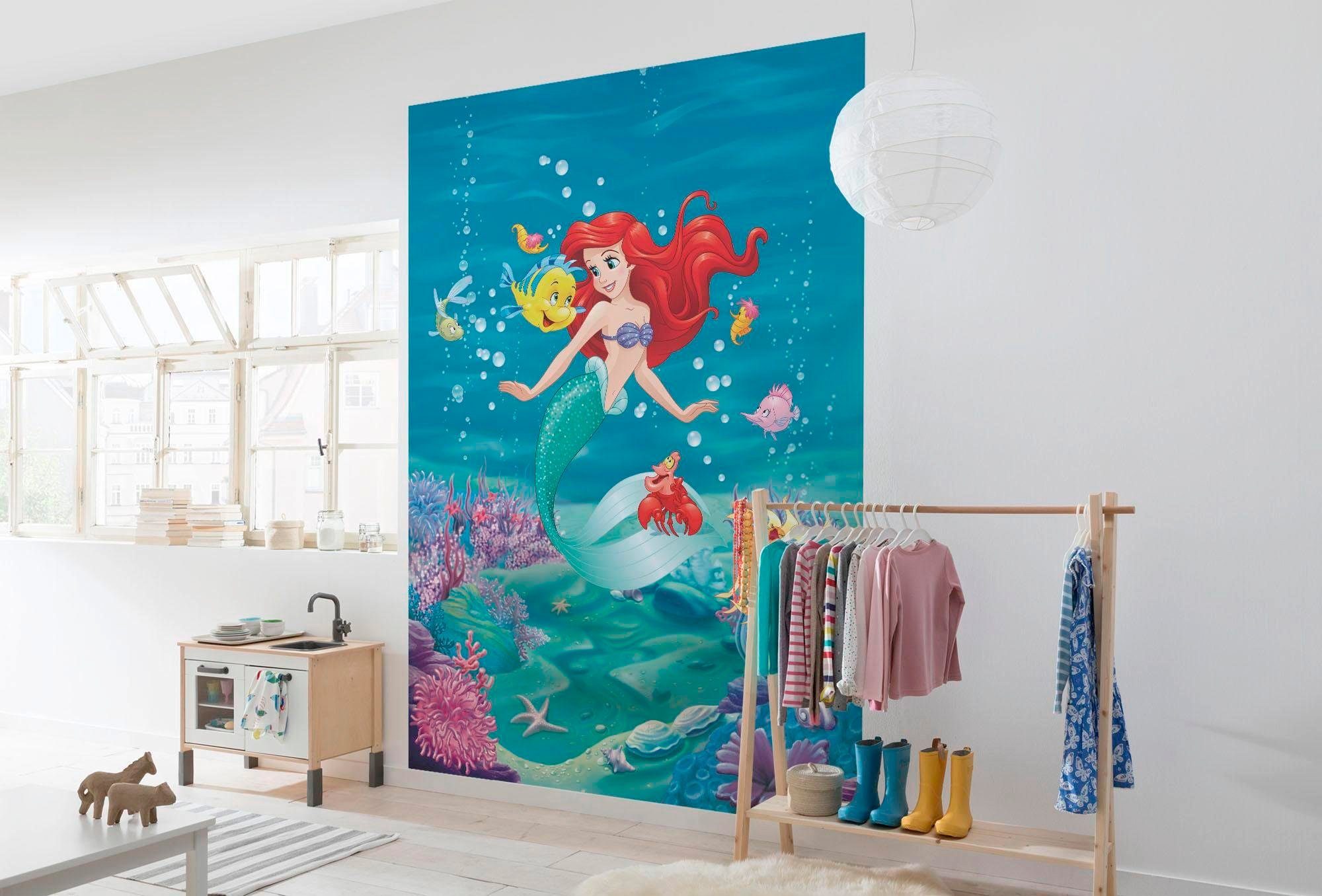 Komar Fotobehang Ariel Zingt - Afmeting 184 x 254 cm (set)