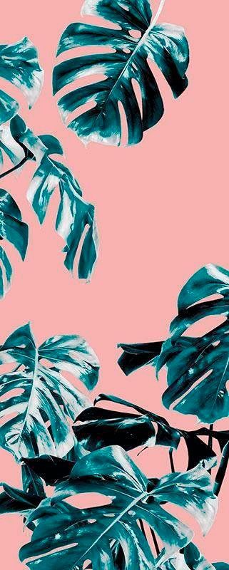Komar Vliesbehang Digitale print vlies - Monstera Rosé Panel - Afmeting 100 x 250 cm (1 stuk) zelfklevend behang roze