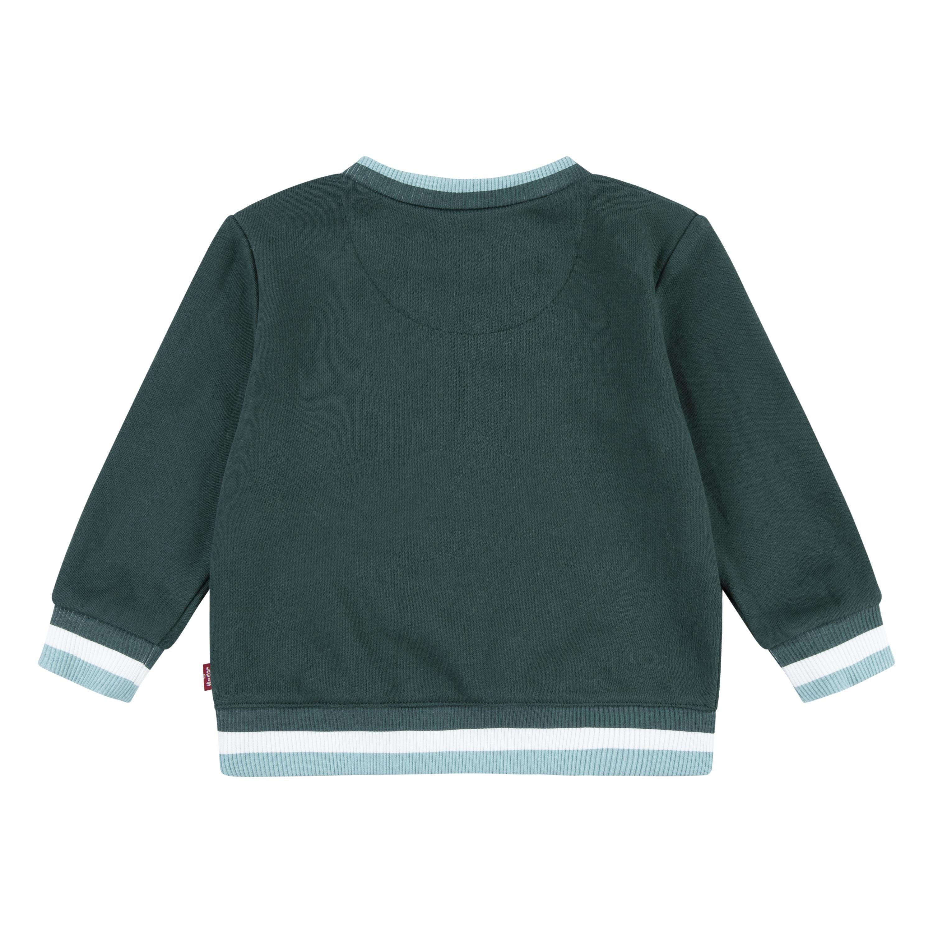Levi's Kidswear Sweatshirt