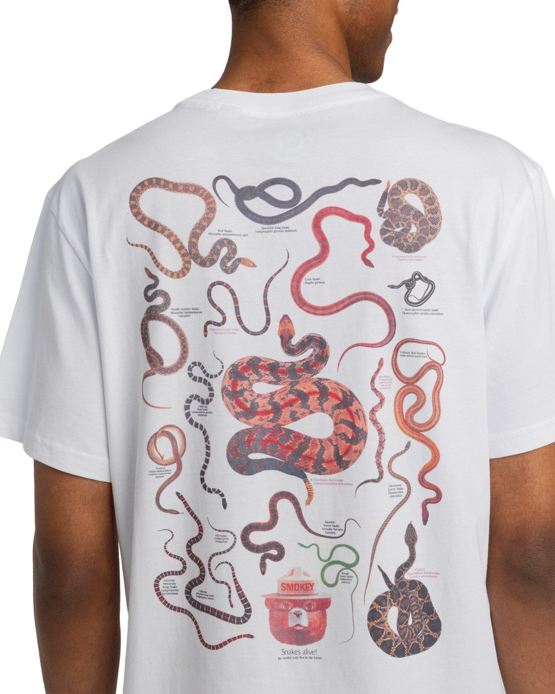 Element T-shirt SBXE Nest