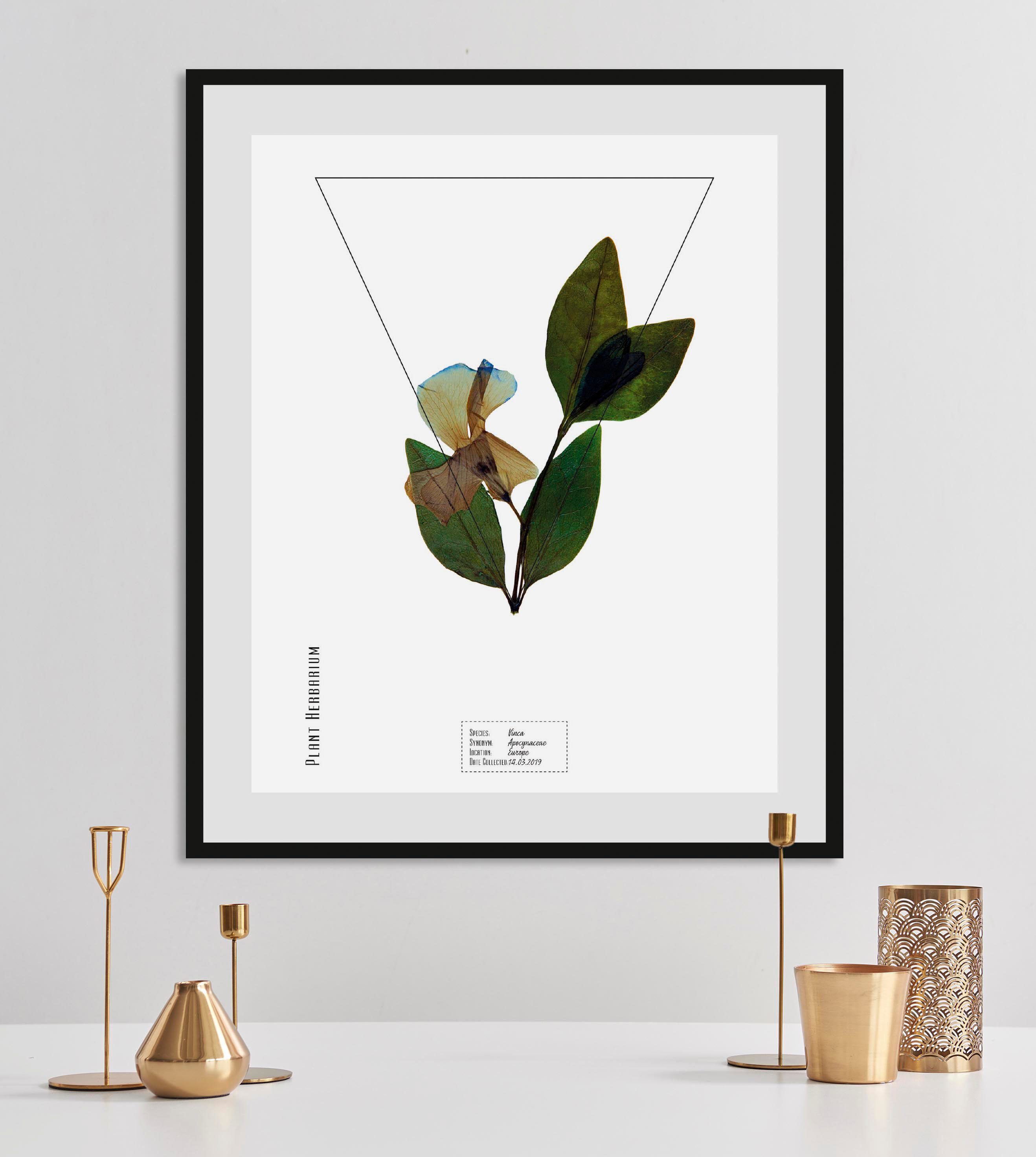 queence Wanddecoratie Vinca HD premium posterdruk incl. houten lijst (1 stuk) schilderijen groen