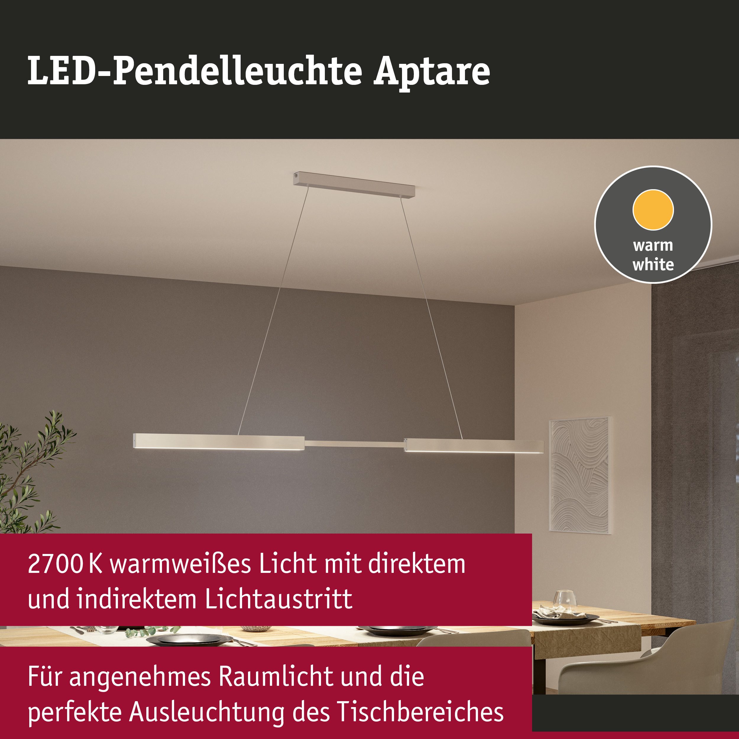 Paulmann Led-hanglamp LED hanglamp Aptare dimbaar