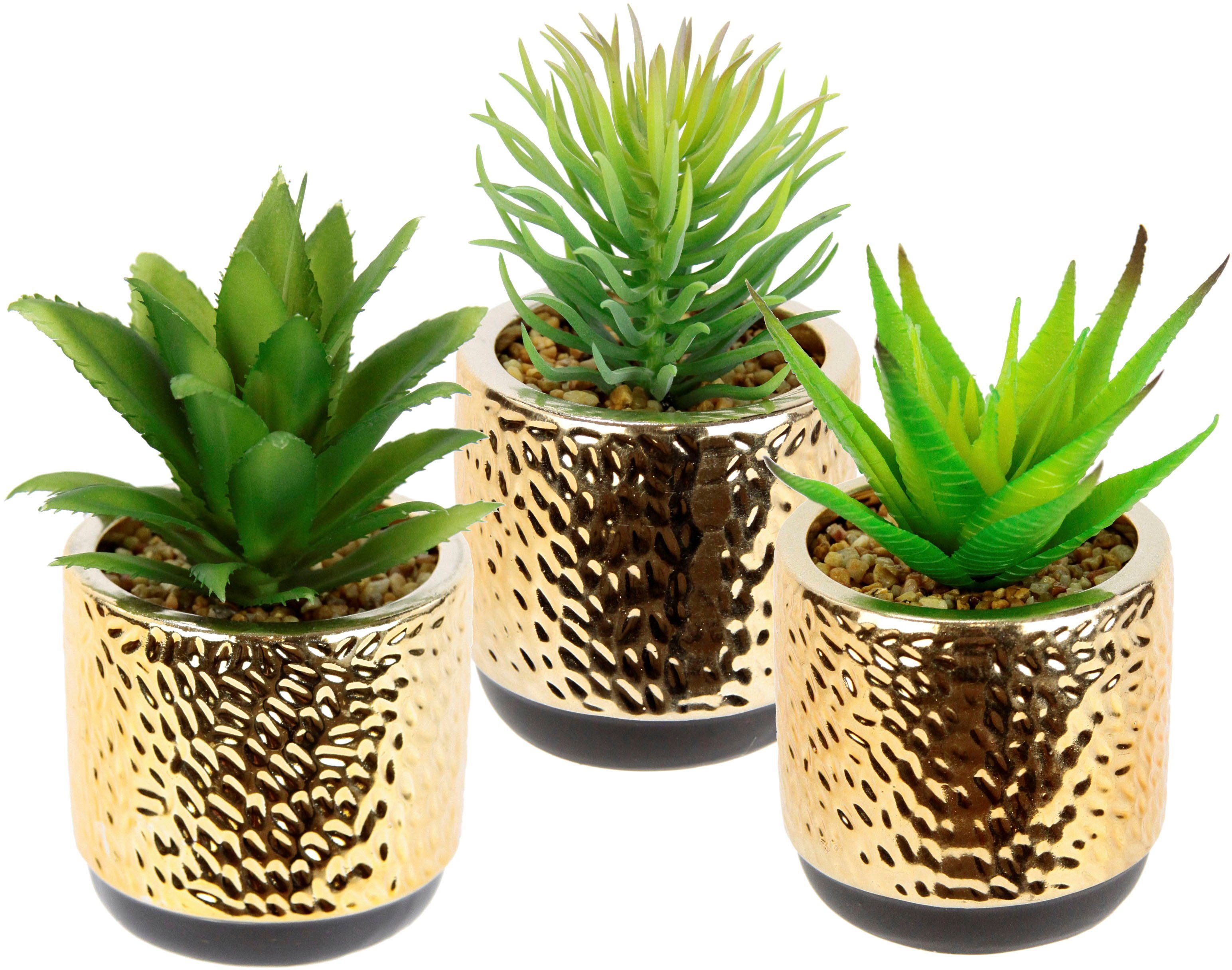 I.GE.A. Kunstplant Vetplanten-set In een keramische pot