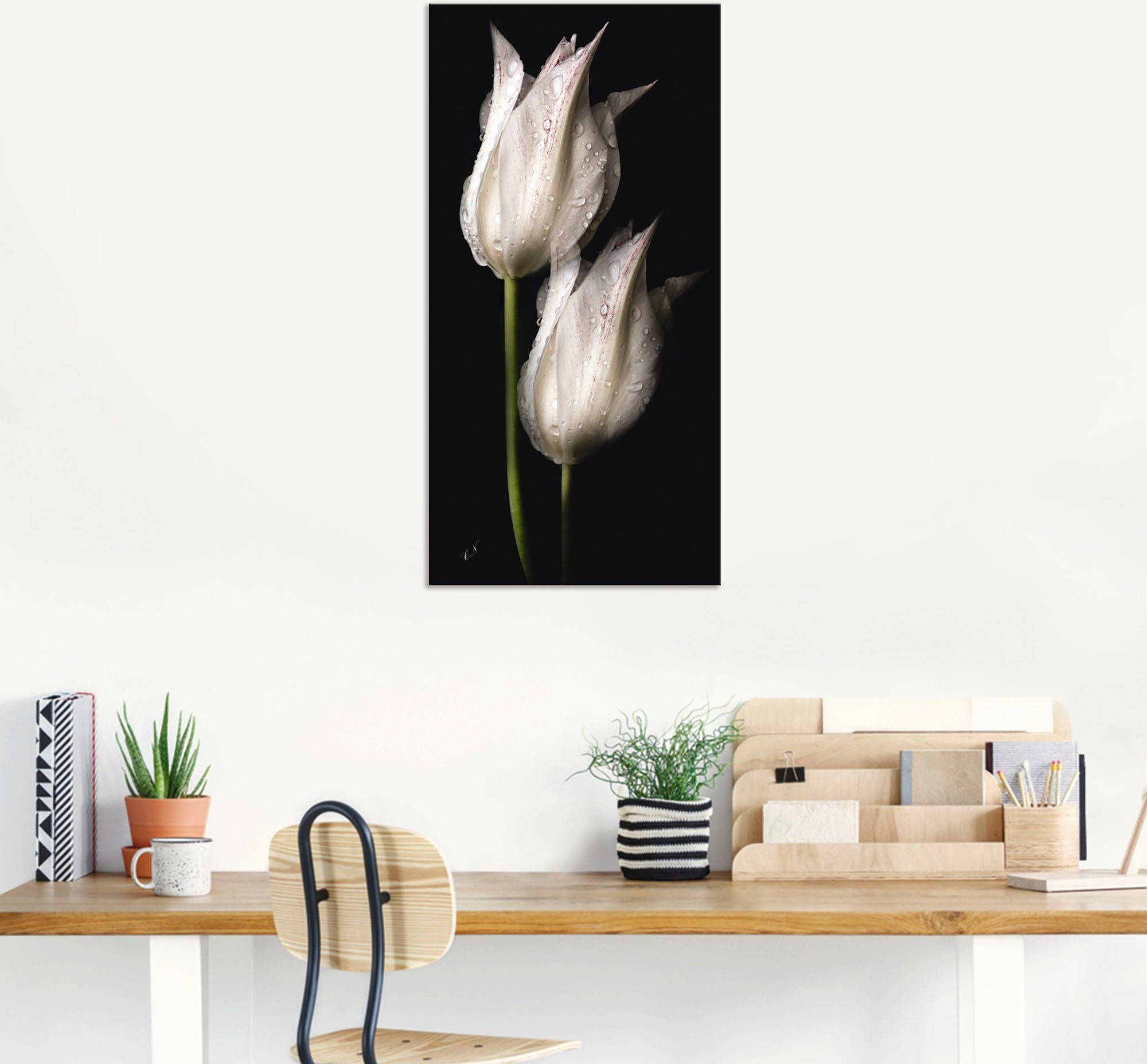 Artland Artprint Witte tulpen in de nacht als artprint van aluminium, artprint voor buiten, artprint op linnen, poster, muursticker