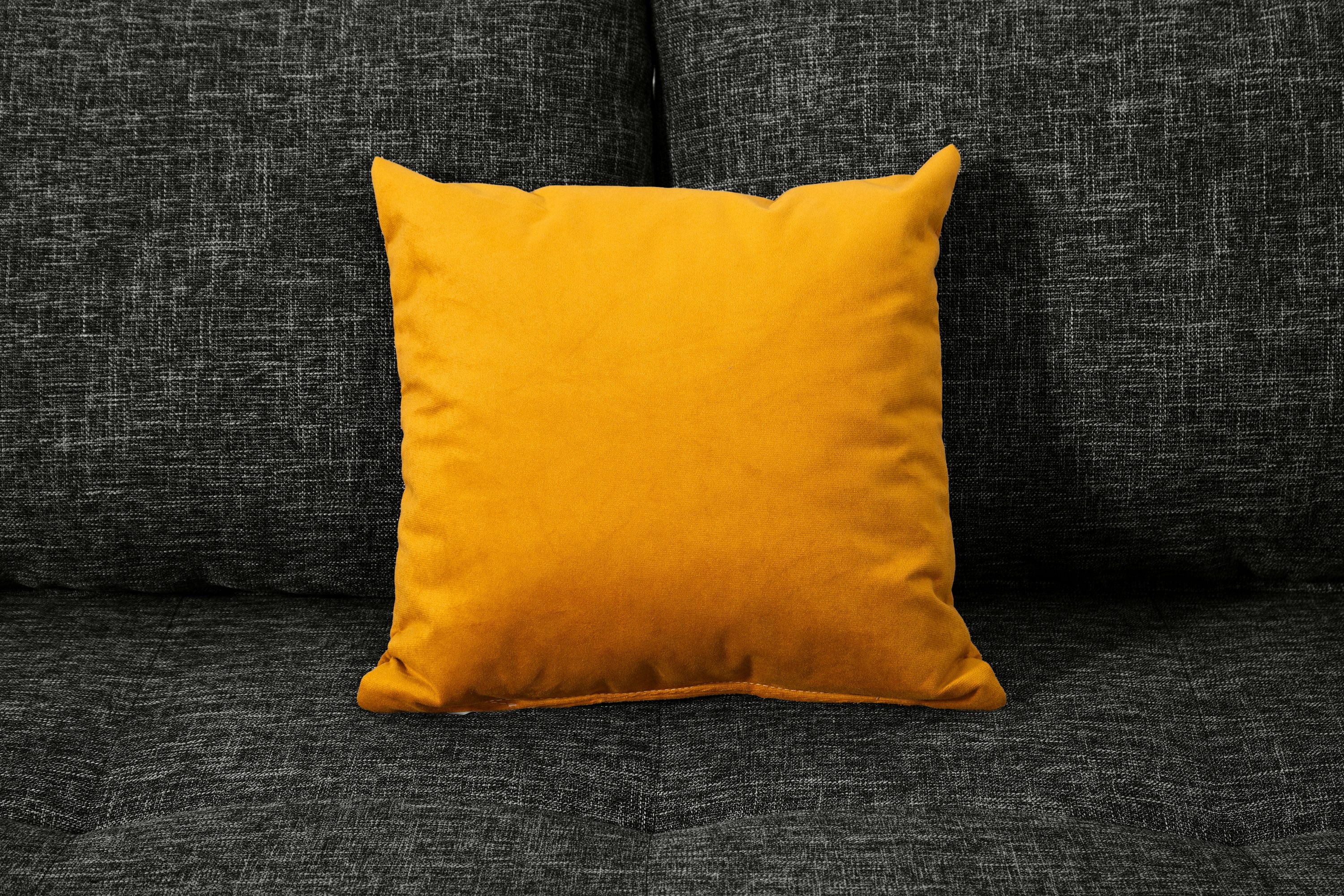 COLLECTION AB Slaapbank DARIA inclusief slaapfunctie en bedlade Slaapbank, bedfunctie, bedlade, inclusief rugkussens, veerkern