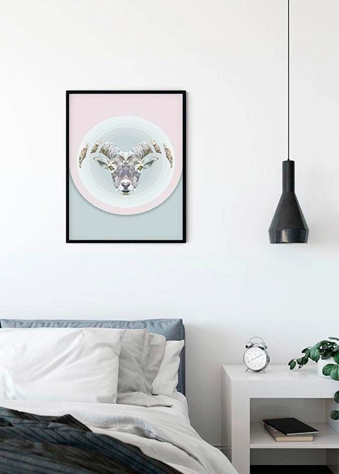 Komar Wanddecoratie Capricorn Wanddecoratie - zonder lijst (1 stuk)