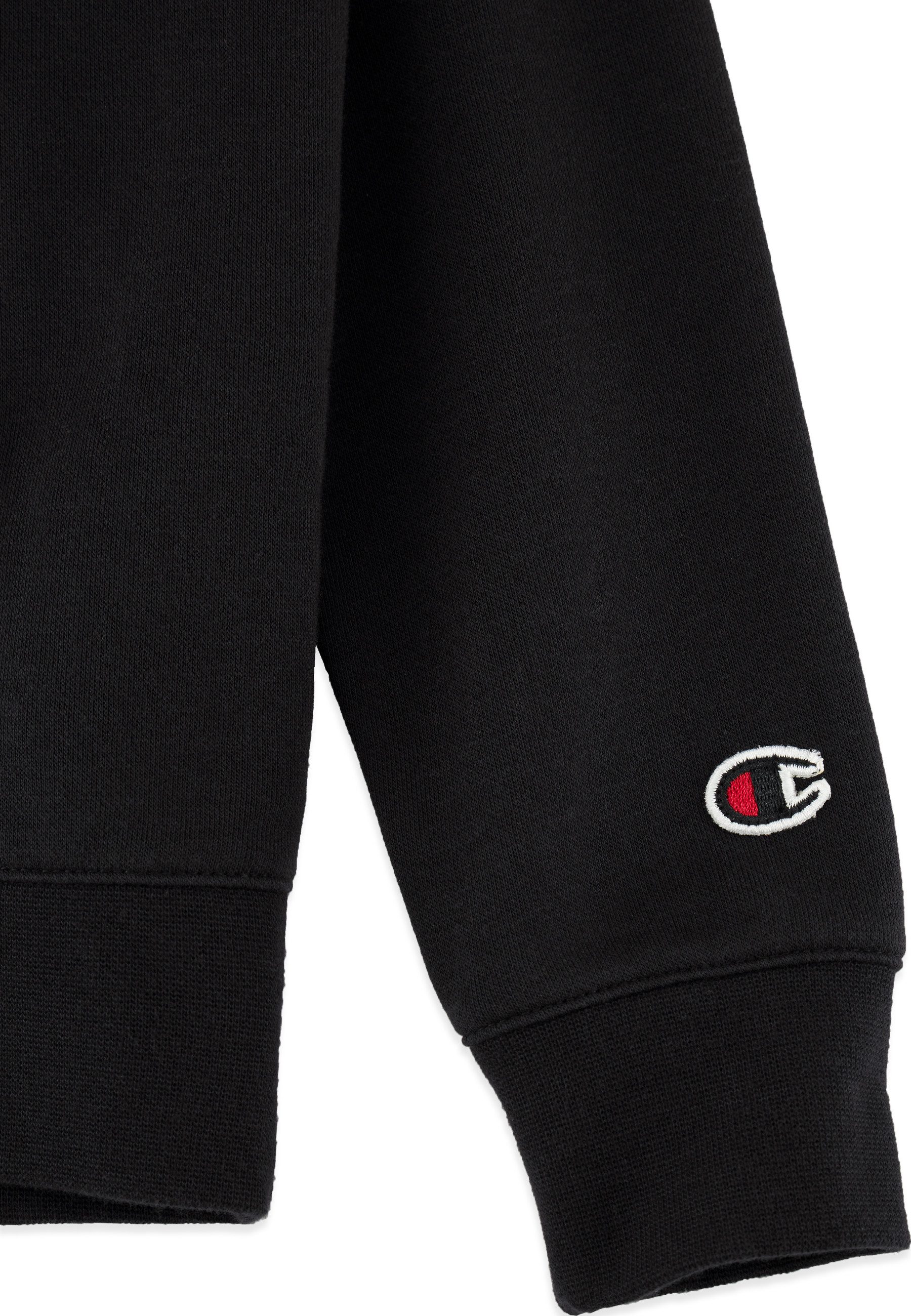 Champion Hoodie HOODED sweatshirt