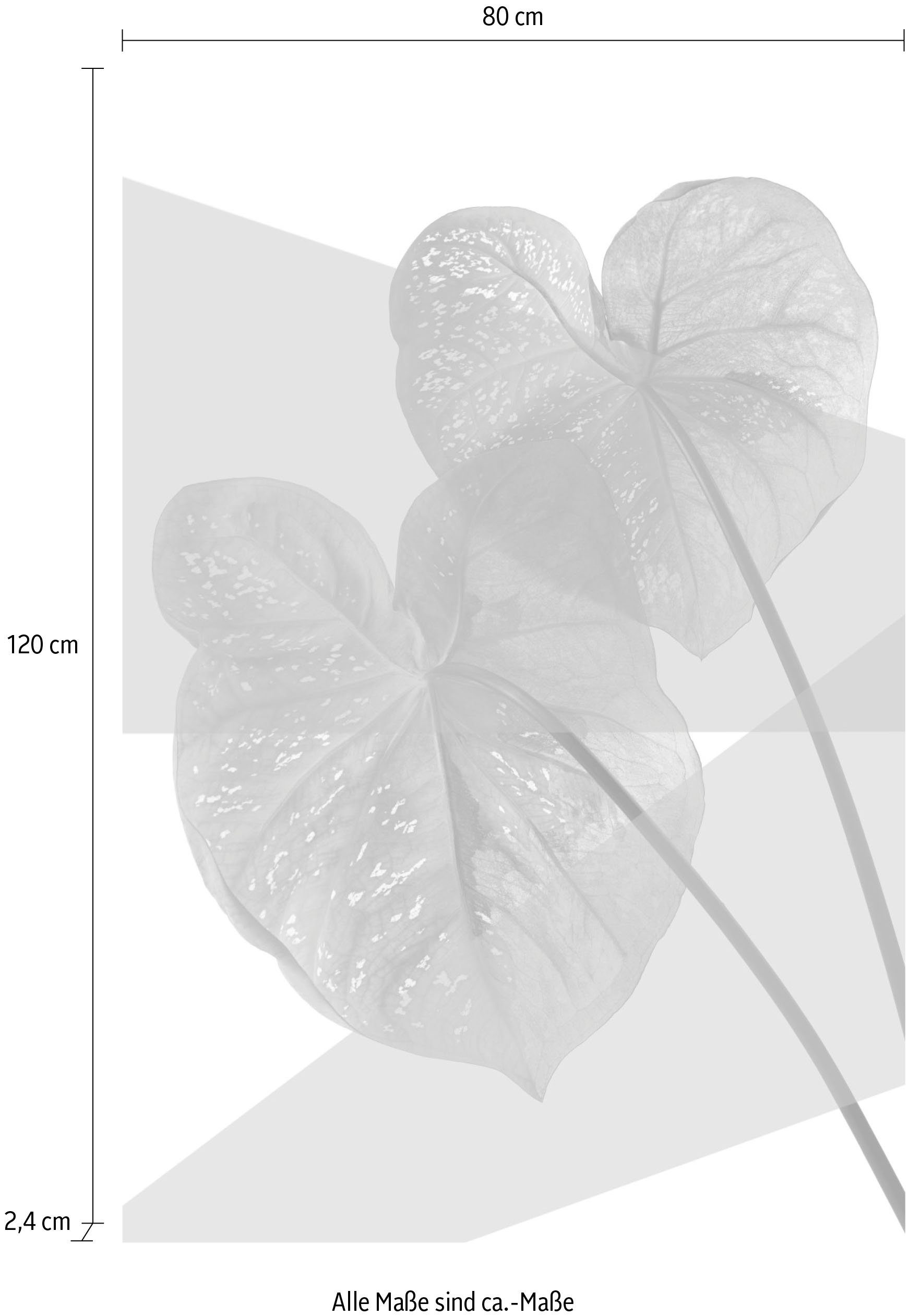 queence Artprint op acrylglas Bladeren Fine Art-print in galeriekwaliteit