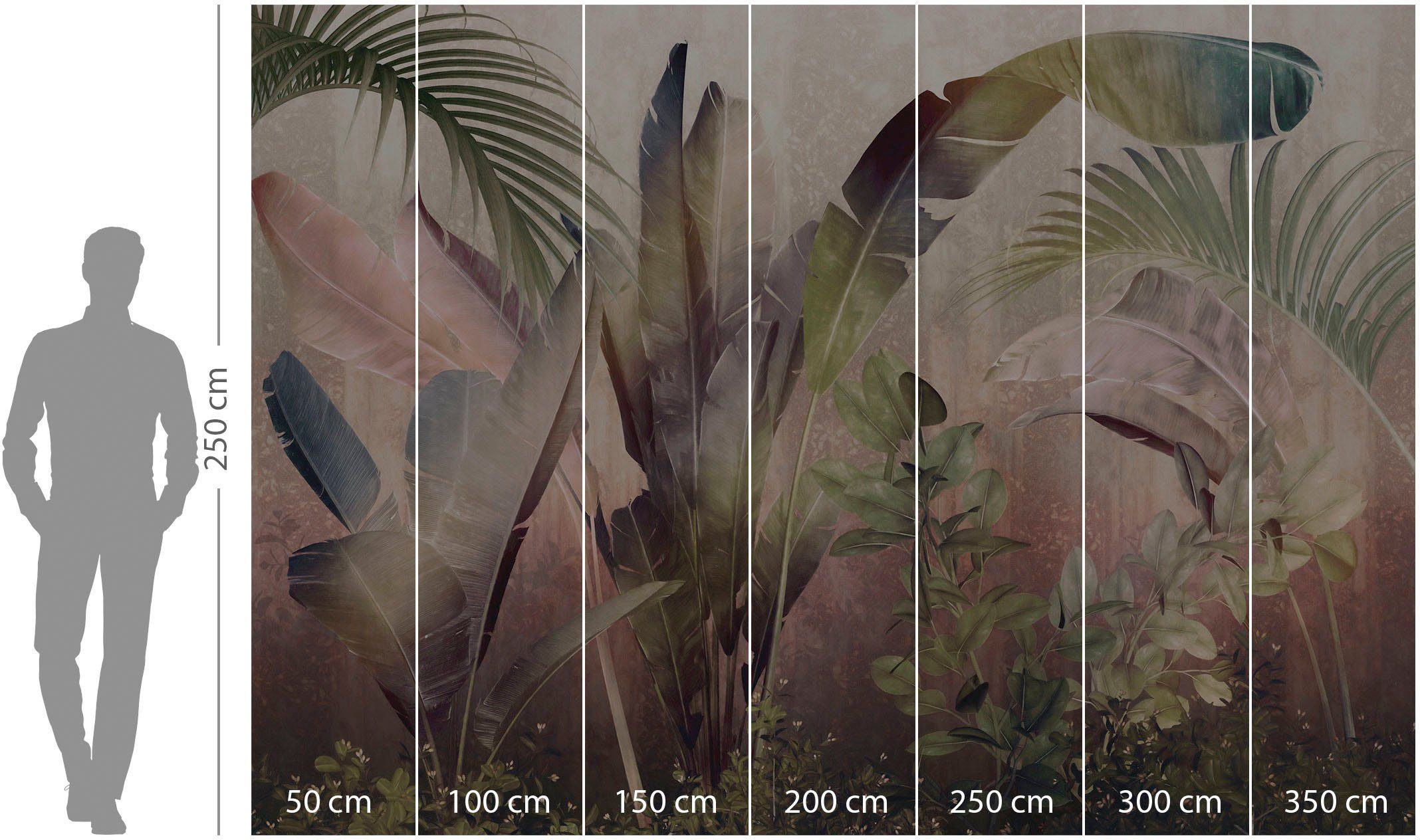 Komar Vliesbehang Digitale print vlies - Rainforest Mist - Afmeting 350 x 250 cm (1 stuk)