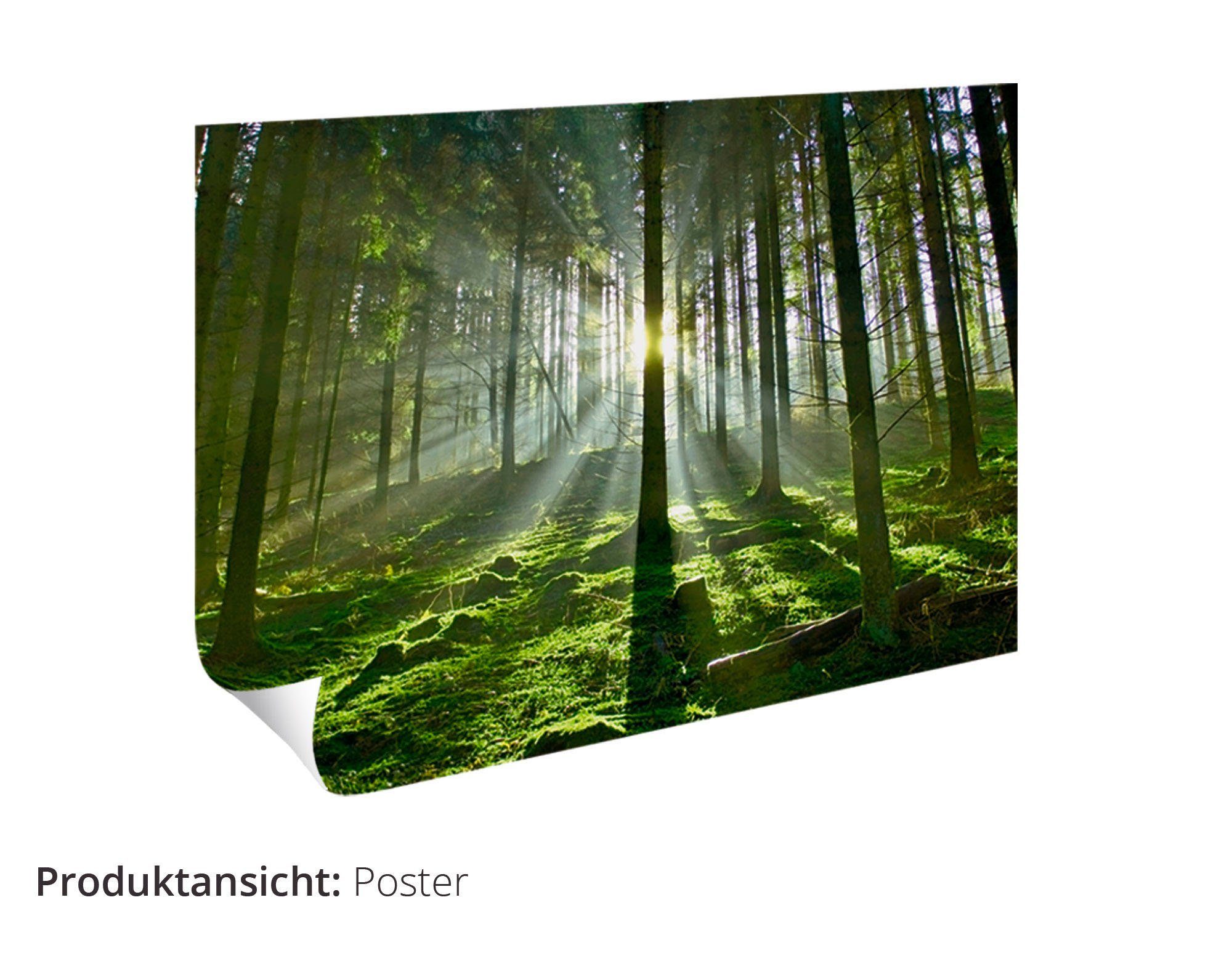 Artland Artprint Aziatisch bamboebos in vele afmetingen & productsoorten - artprint van aluminium / artprint voor buiten, artprint op linnen, poster, muursticker / wandfolie ook ge