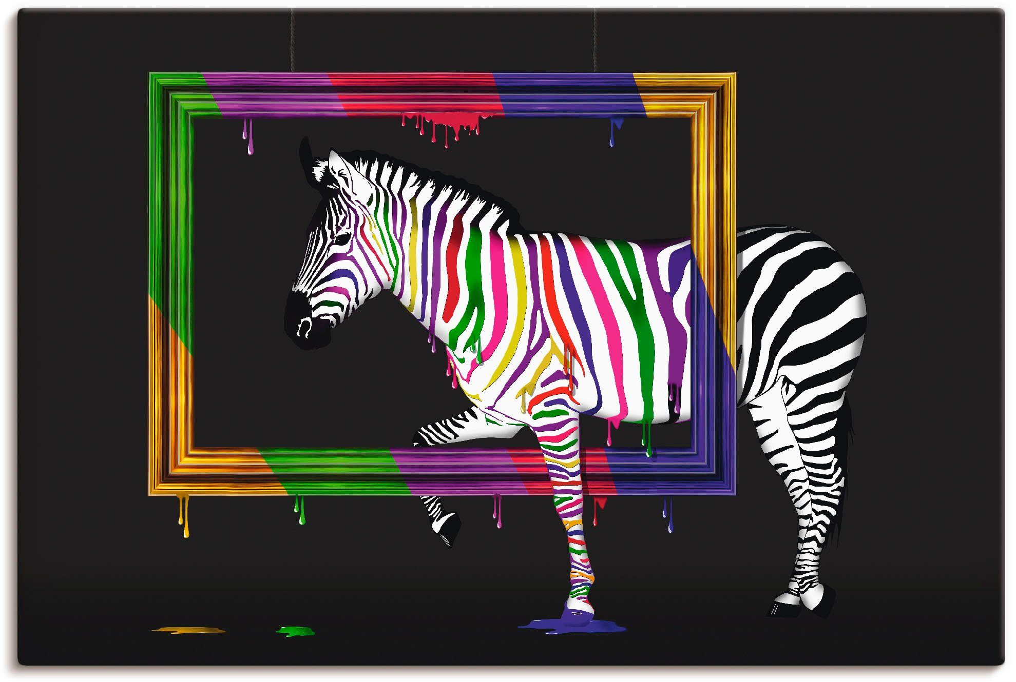 Artland Artprint De regenboog zebra in vele afmetingen & productsoorten - artprint van aluminium / artprint voor buiten, artprint op linnen, poster, muursticker / wandfolie ook ges
