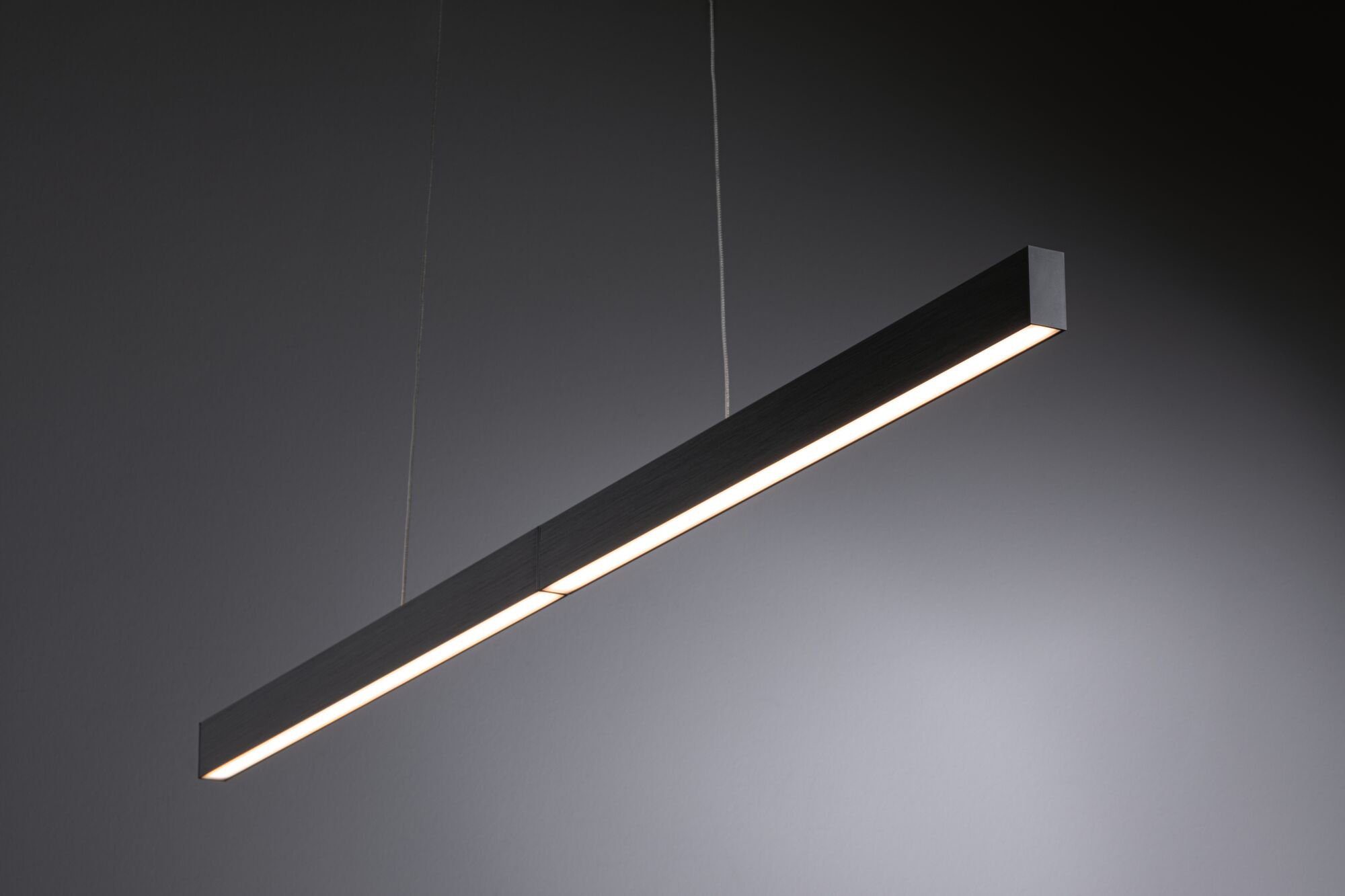 Paulmann Led-hanglamp Aptare LED-module, dimbaar, 230 V (1 stuk)