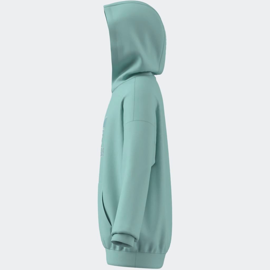 adidas Originals Hoodie