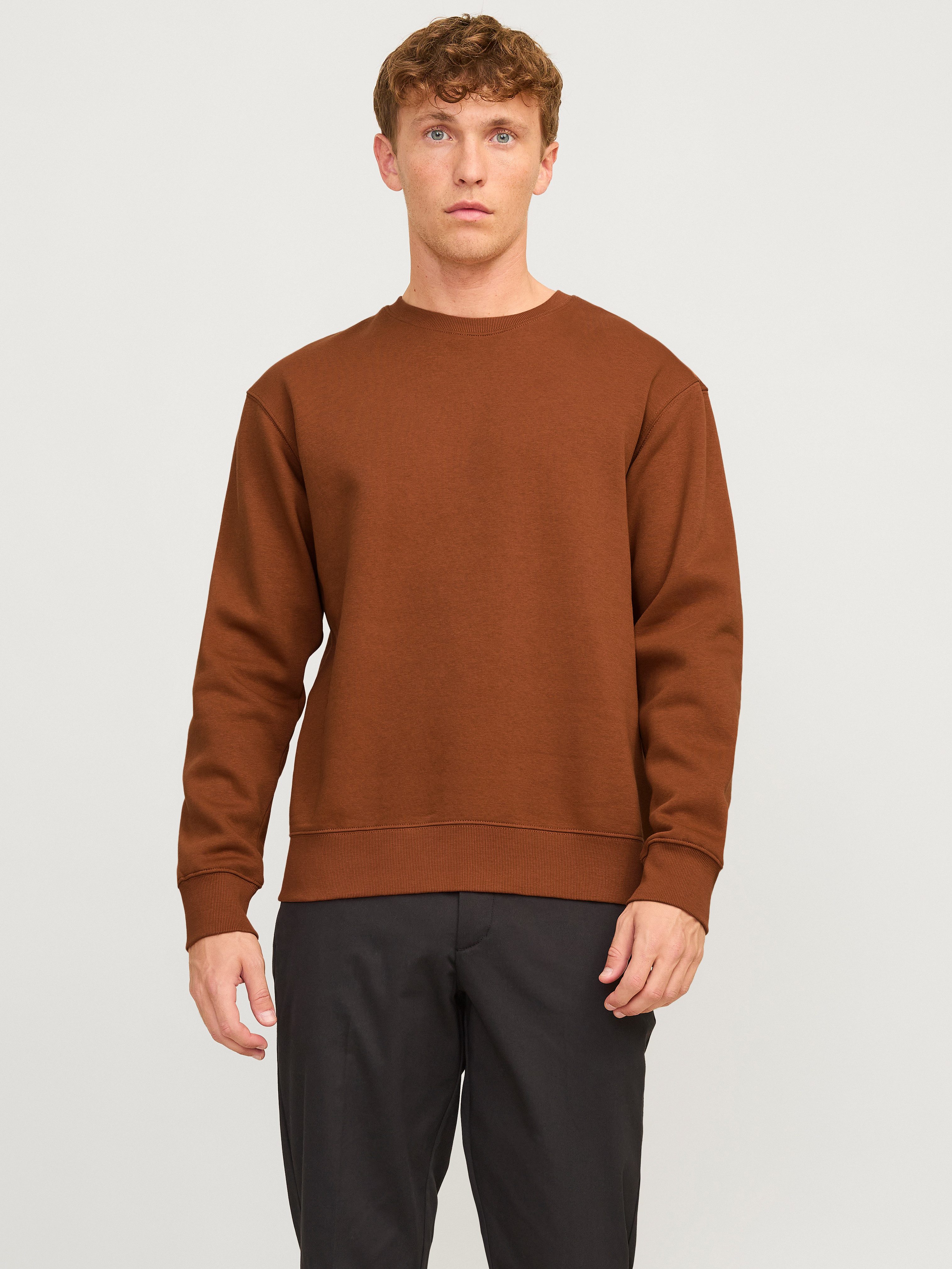 Jack & Jones Sweatshirt JJESTAR BASIC SWEAT CREW NECK NOOS