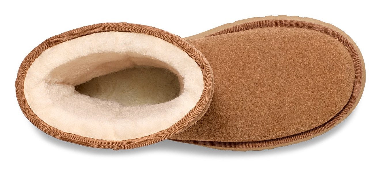 UGG Instaplaarzen CLASSIC SHORT NEW HEIGHTS , plateau laarzen, winterlaarzen, boots met binnenrits