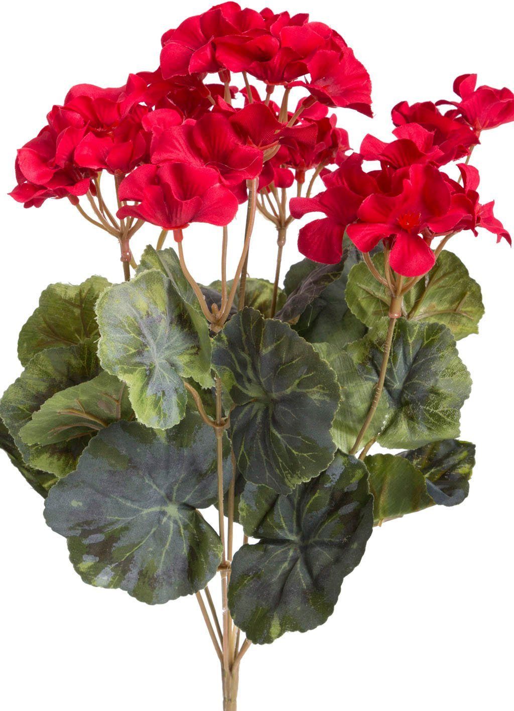 Botanic-Haus Kunstbloem Geraniums (1 stuk)