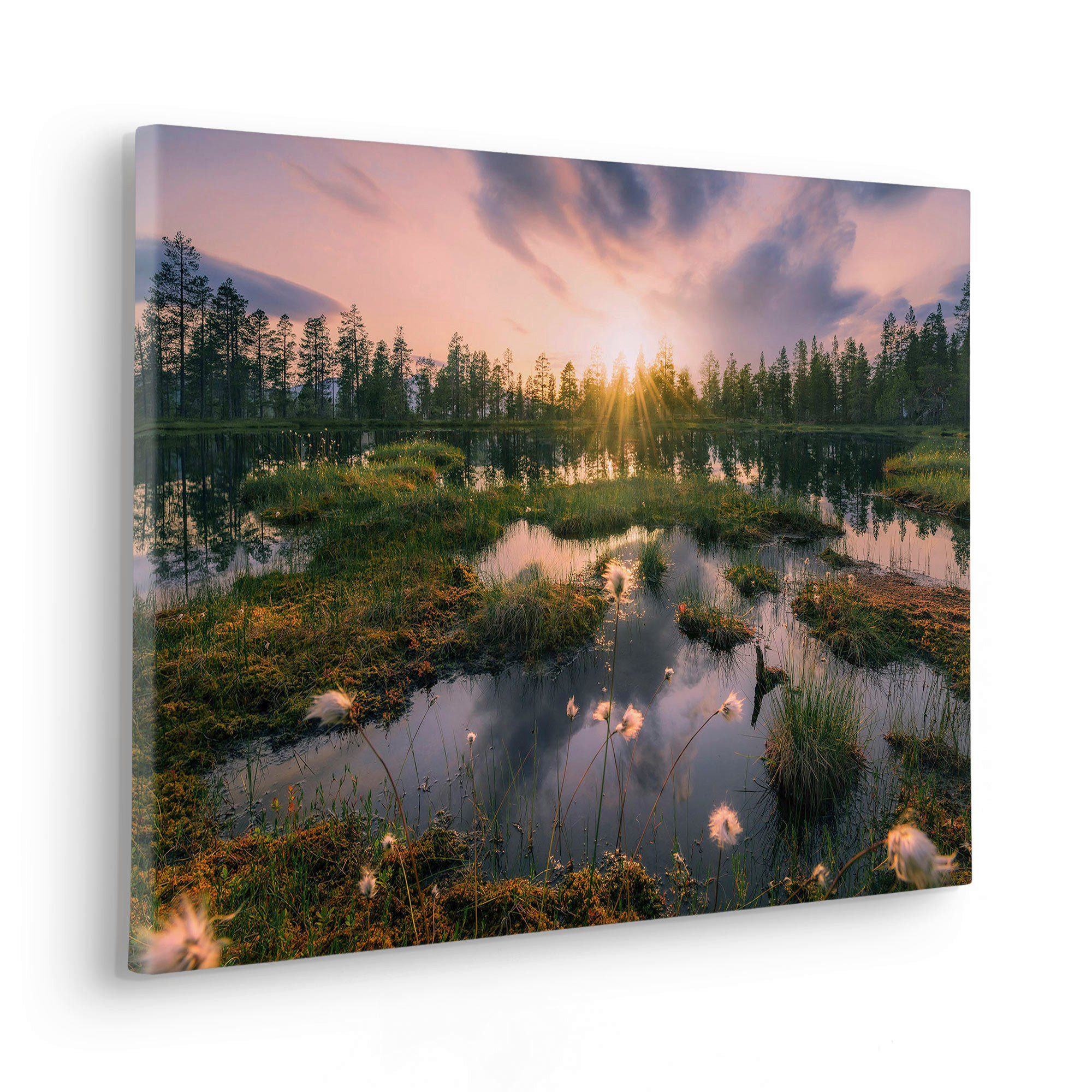 Komar Artprint op linnen Gloomy Swamps - Afmeting 60 x 40 cm (1 stuk)