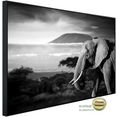 papermoon infraroodverwarming olifant met landschap zwart-wit zeer aangename stralingswarmte multicolor