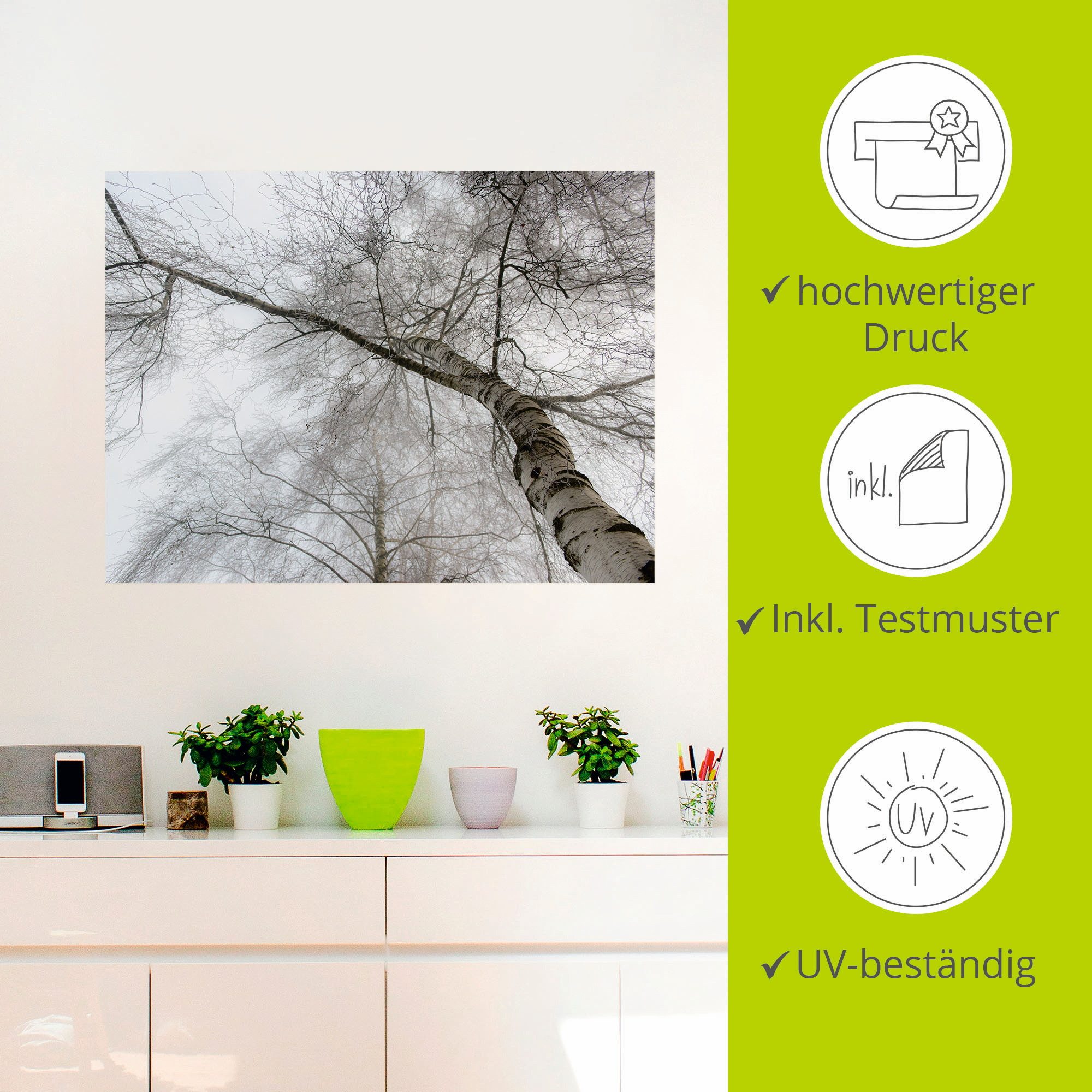 Artland Artprint Winter berk als artprint op linnen, muursticker in verschillende maten