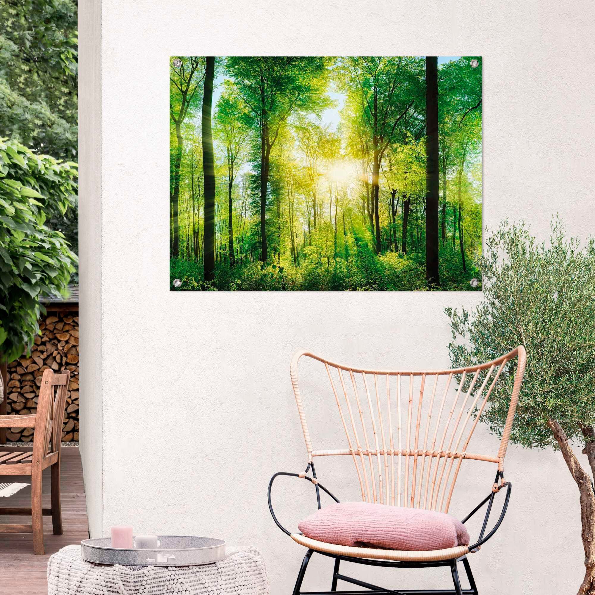 Reinders! Poster Zomerbos