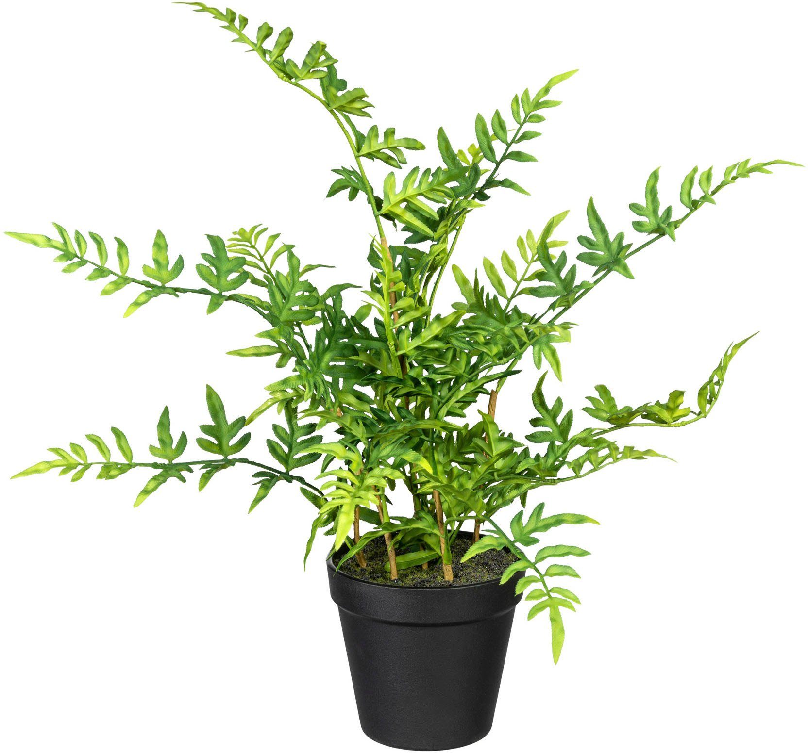 Creativ green Kunst-potplanten Japanse varen (1 stuk) kunstplanten groen