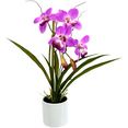 i.ge.a. kunstorchidee orchidee in een keramische pot paars