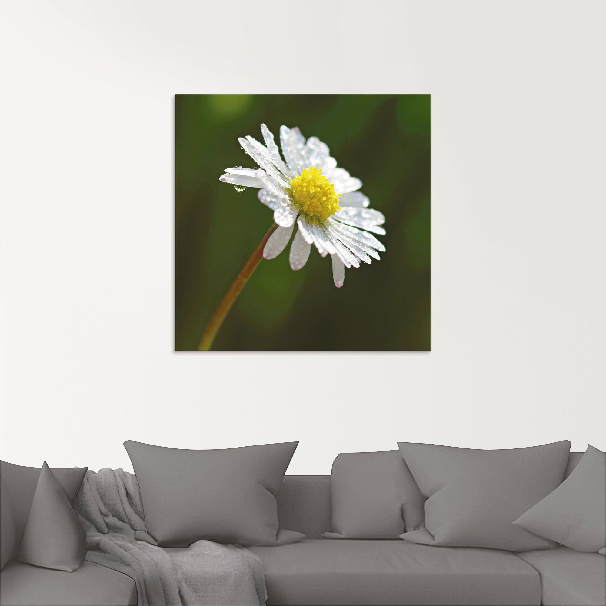 Artland Print op glas Madeliefje in verschillende maten