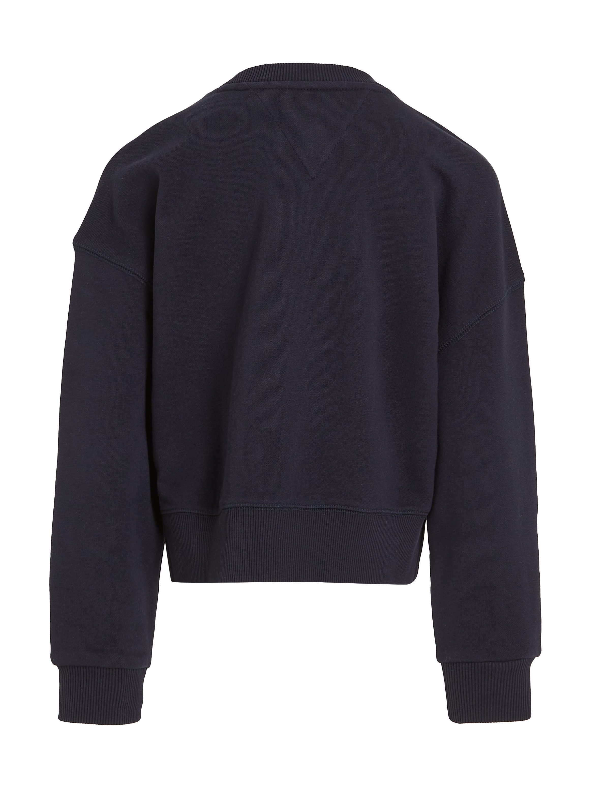 Tommy Hilfiger Shirt met lange mouwen HILFIGER NY EMBROIDERED CREWNECK Kinderen tot 16 jaar met logostiksel