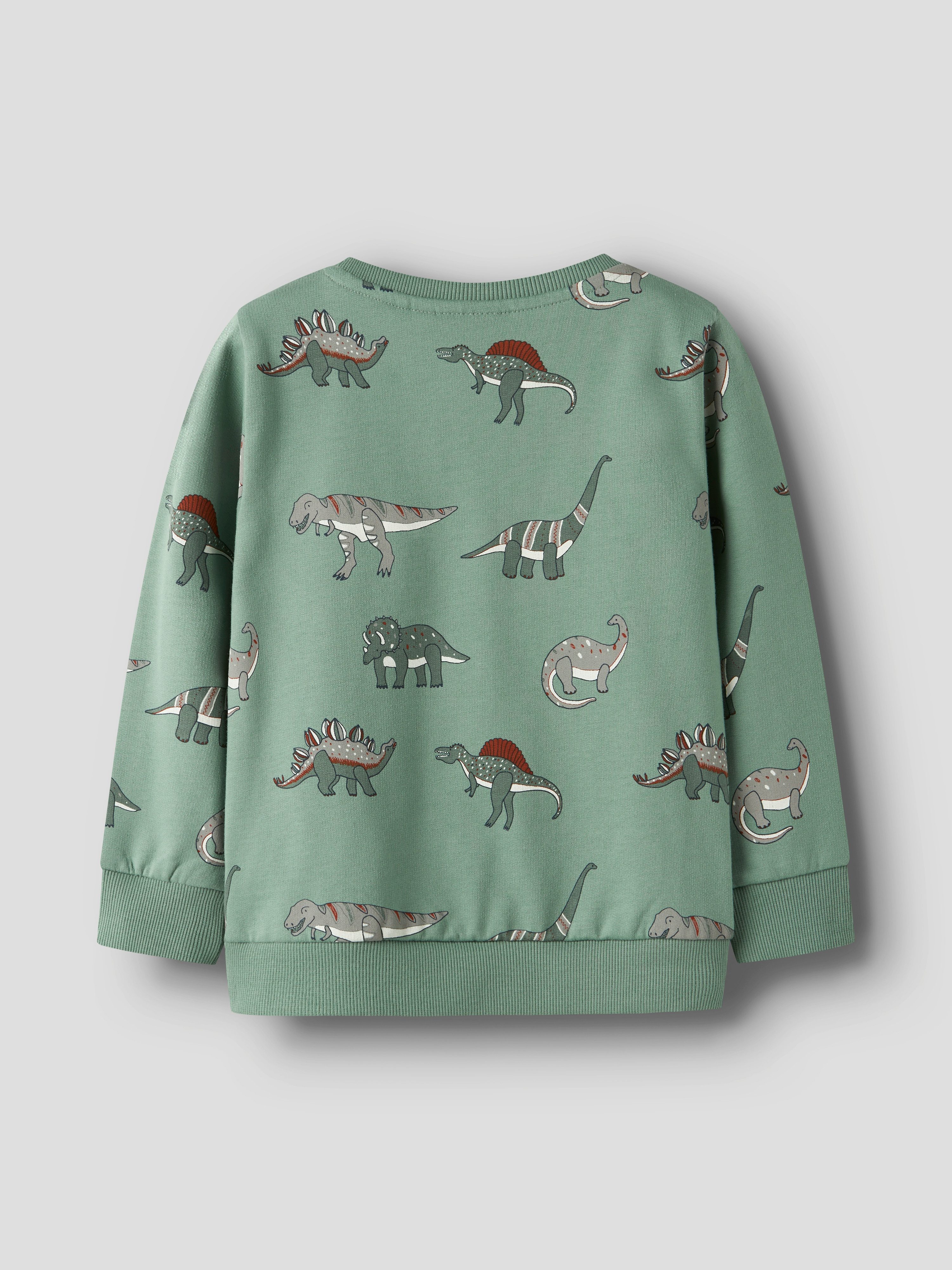 Name It Sweatshirt NMMNENEAN LS SWE BRU PB