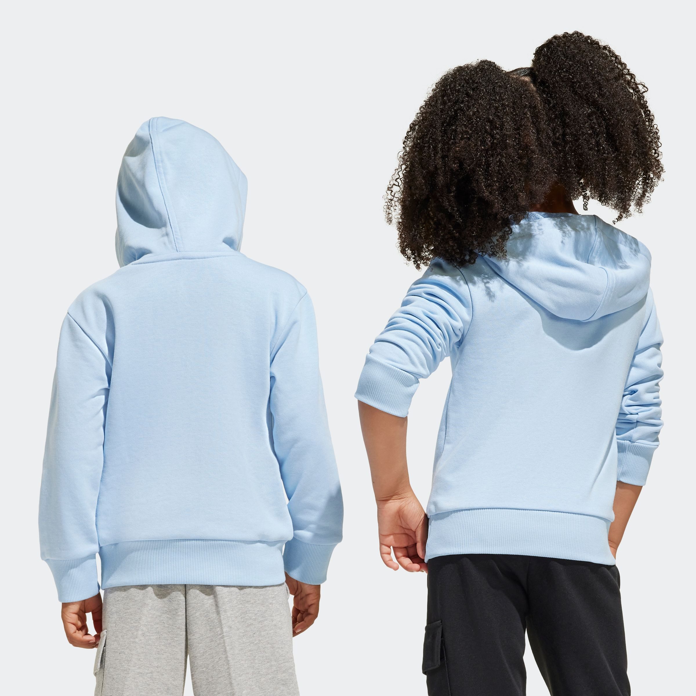 adidas Sportswear Hoodie LK BL FT HD