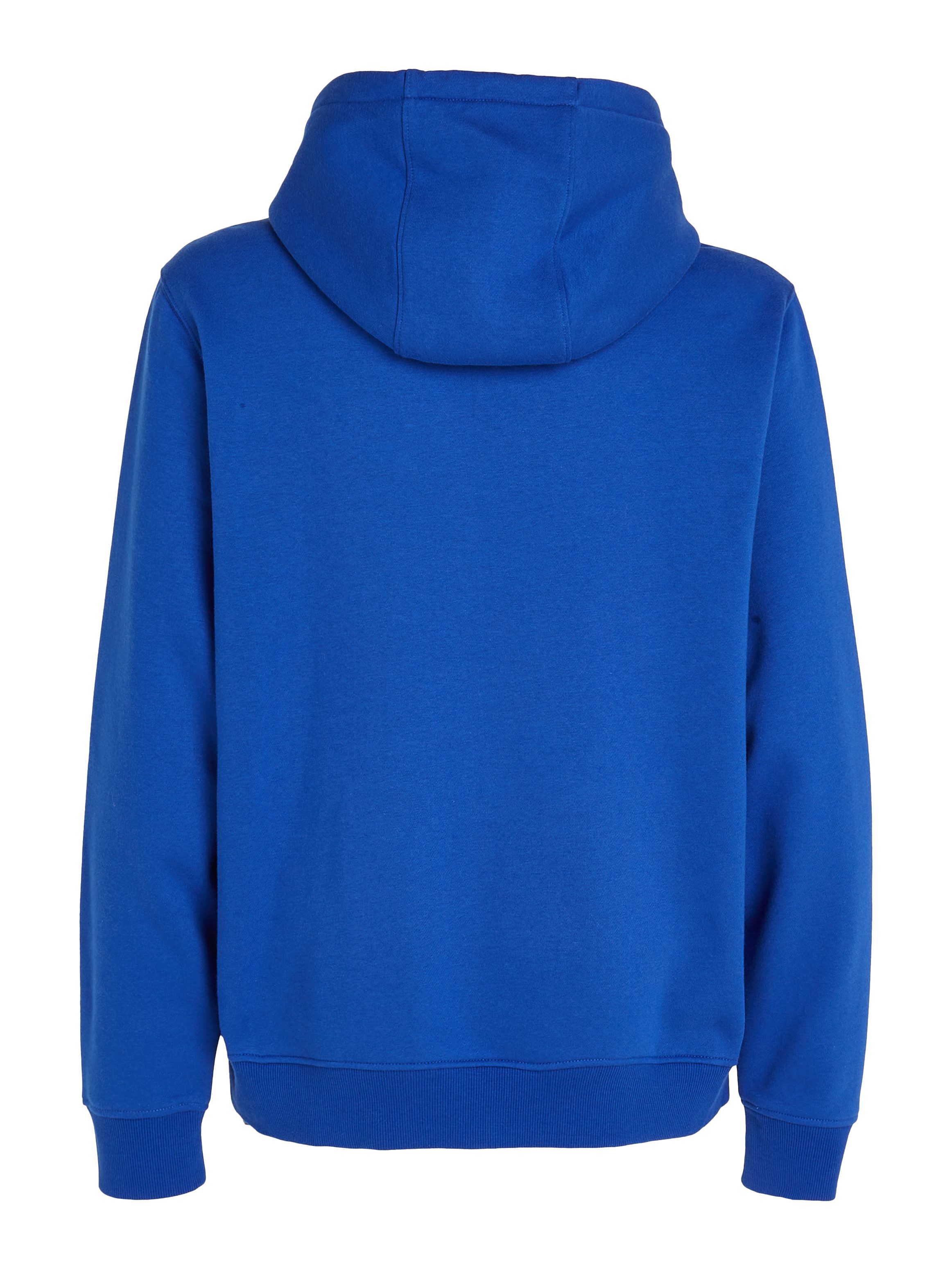 TOMMY JEANS Sweatshirt TJM REG S FLAG HOODIE
