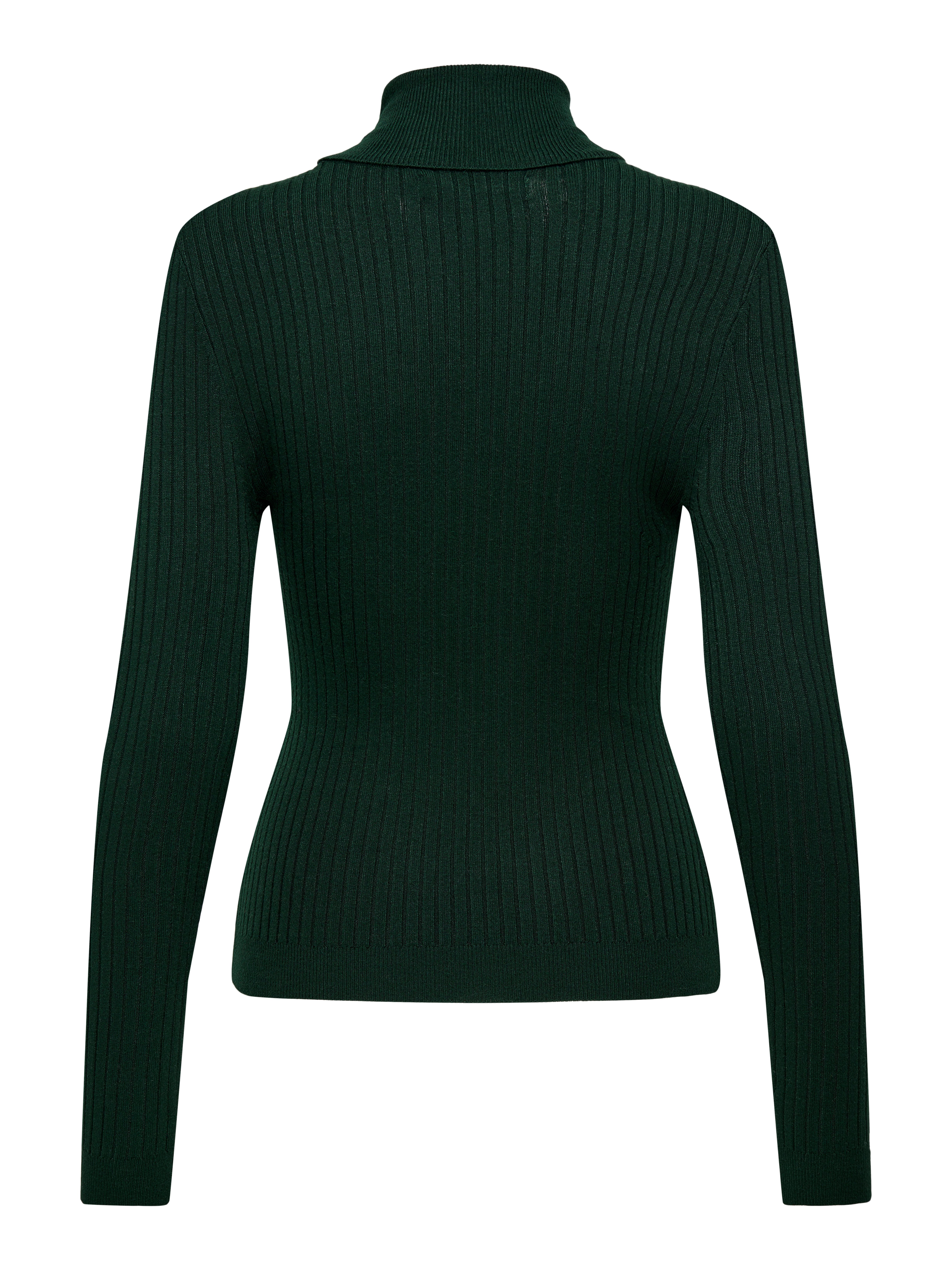 Only Coltrui ONLKAROL L/S ROLLNECK PULLOVER KNT NOOS