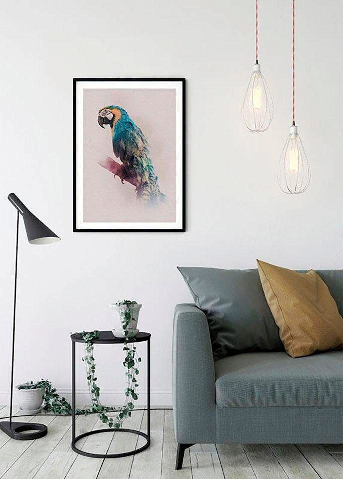 Komar Wanddecoratie Animals Paradise Parrot Wanddecoratie - zonder lijst (1 stuk)