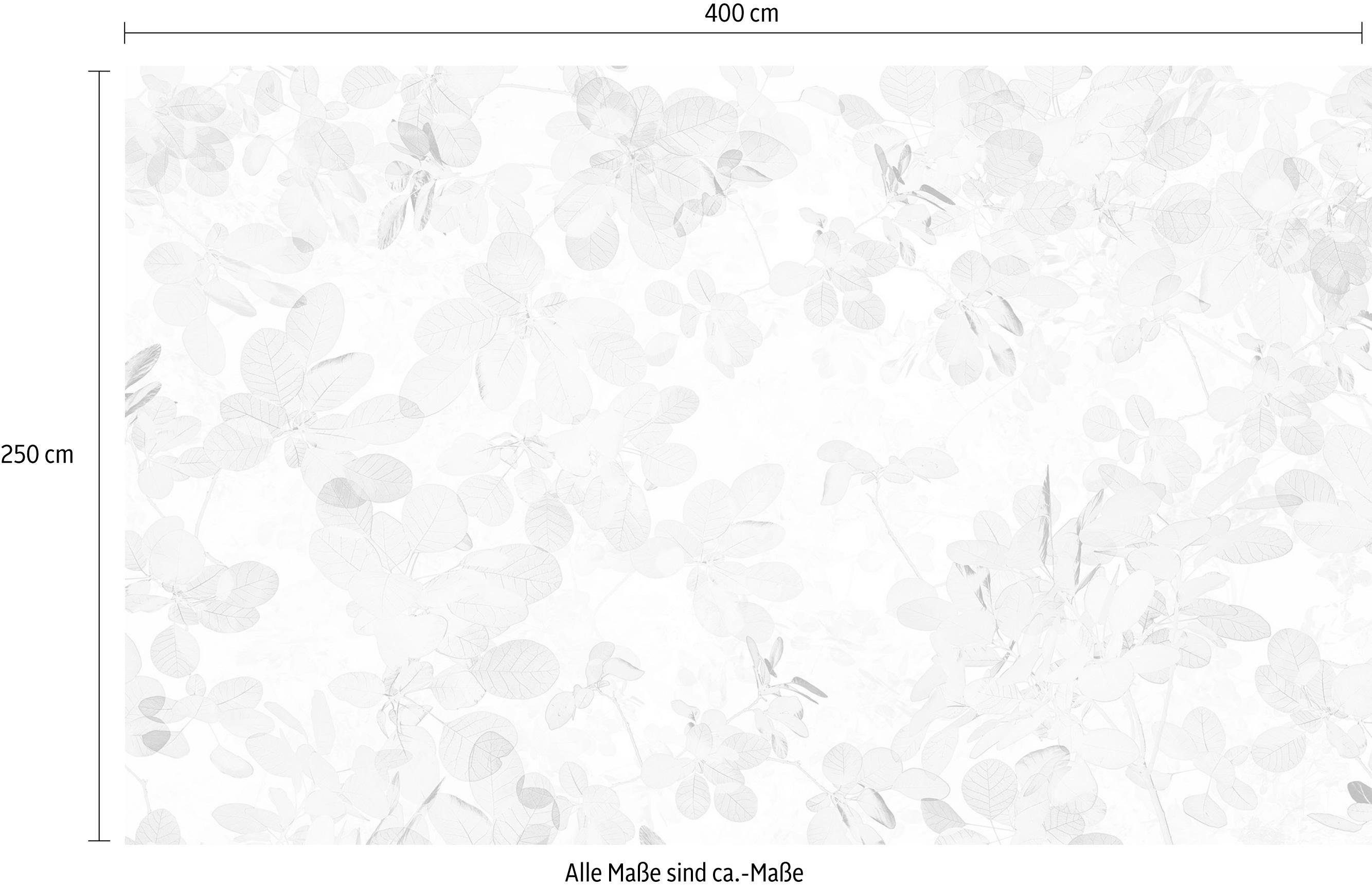 Komar Vliesbehang Digitale print vlies - Sheer - Afmeting 400 x 250 cm (1 stuk)