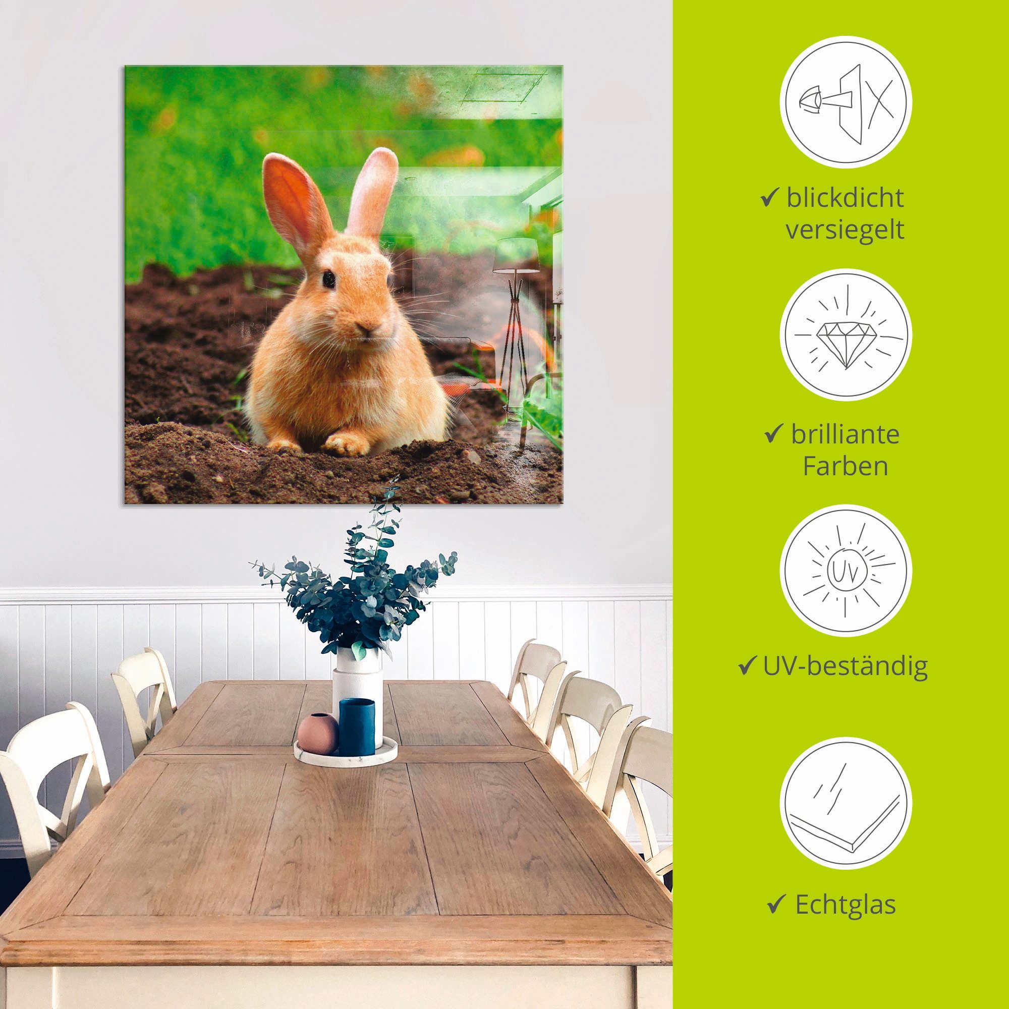 Artland Print op glas Gelukkig dwergkonijntje