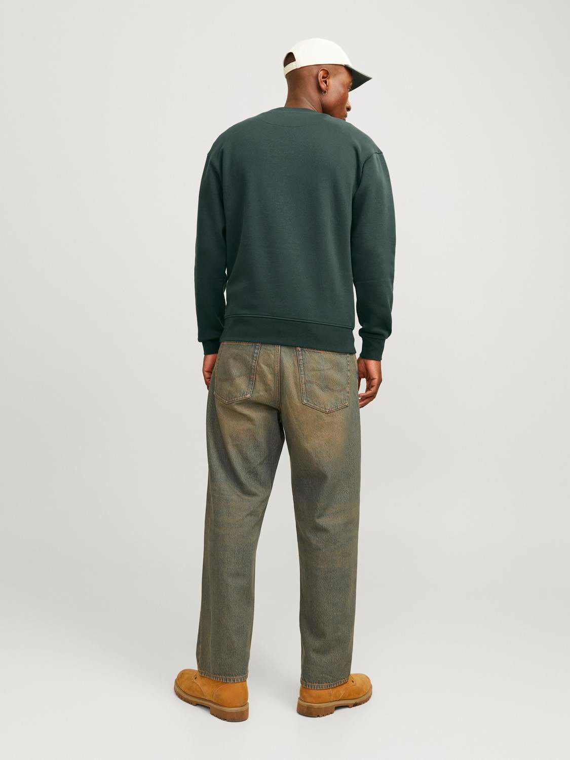 Jack & Jones Sweatshirt JORVESTERBRO SWEAT CREW NECK NOOS
