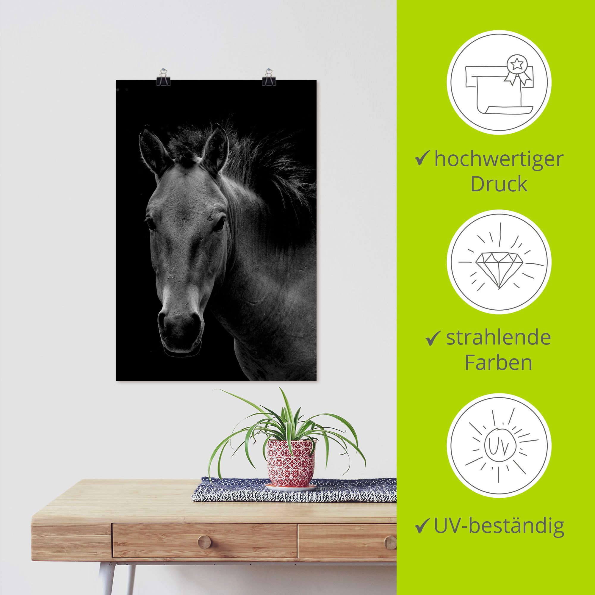 Artland Poster Wild paard als artprint van aluminium, artprint op linnen, muursticker of poster in verschillende maten