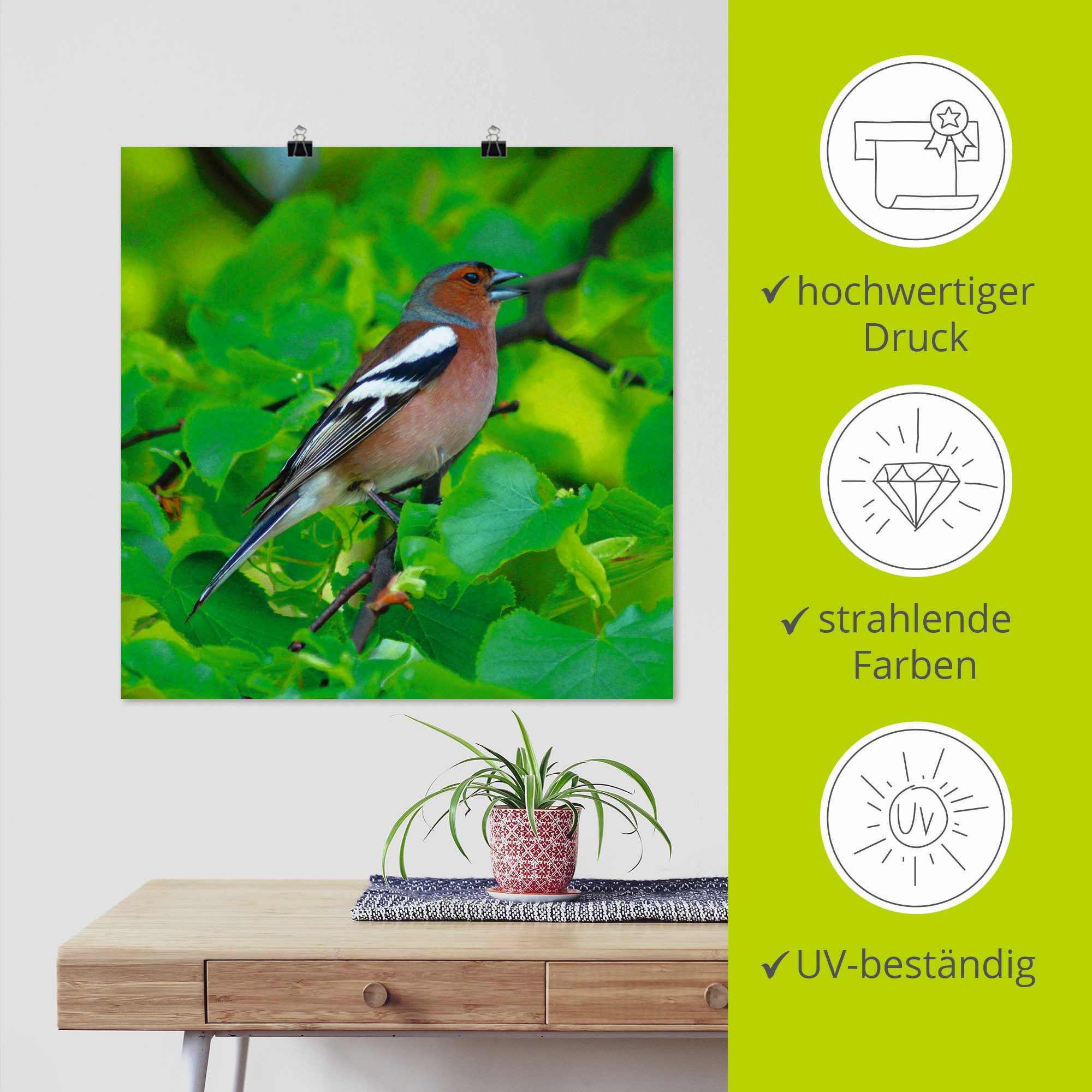 Artland Artprint Vink lied als artprint op linnen, poster in verschillende formaten maten