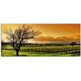 artland print op glas landschap met wijnbergen oranje