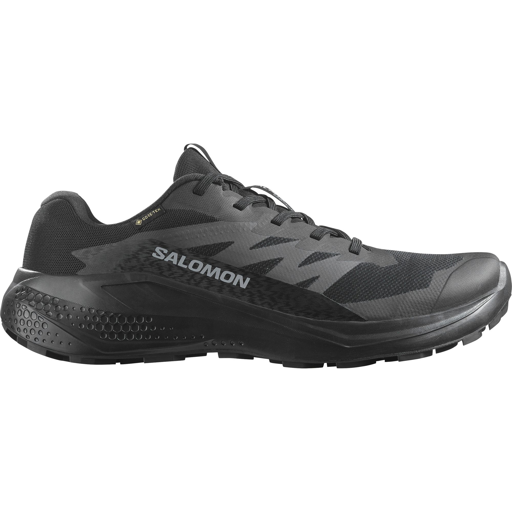 Salomon Trailrunningschoenen ALPHAGLIDE GORE-TEX